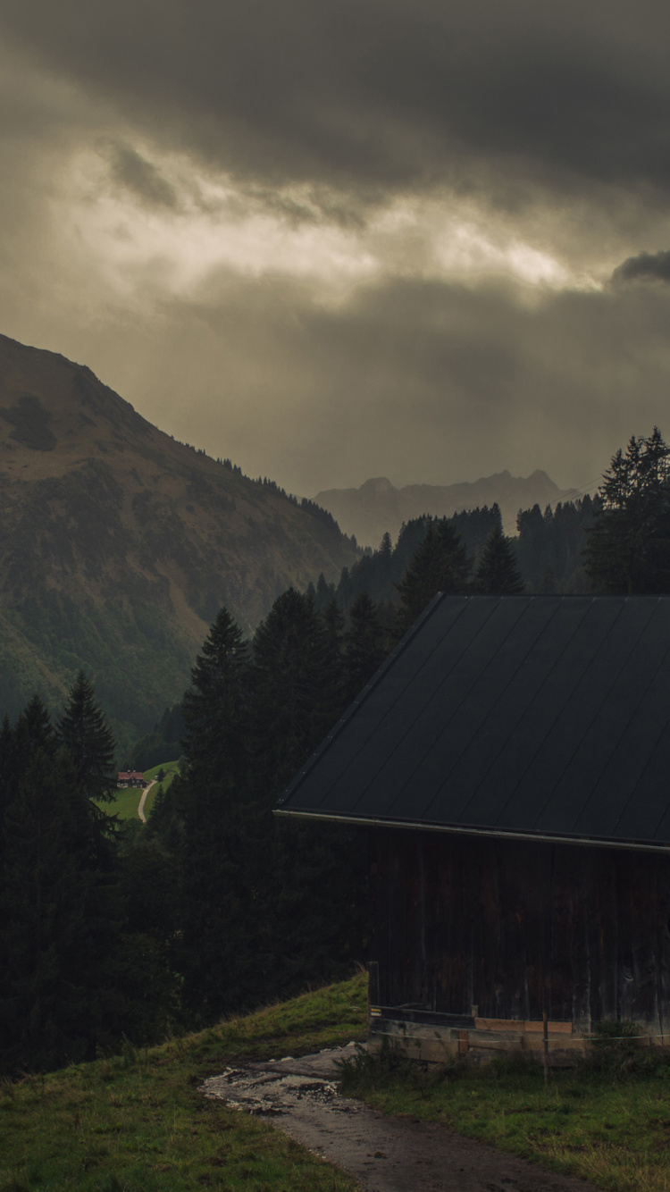 Обои облако, растение, гора, природный ландшафт, древесина в разрешении 750x1334