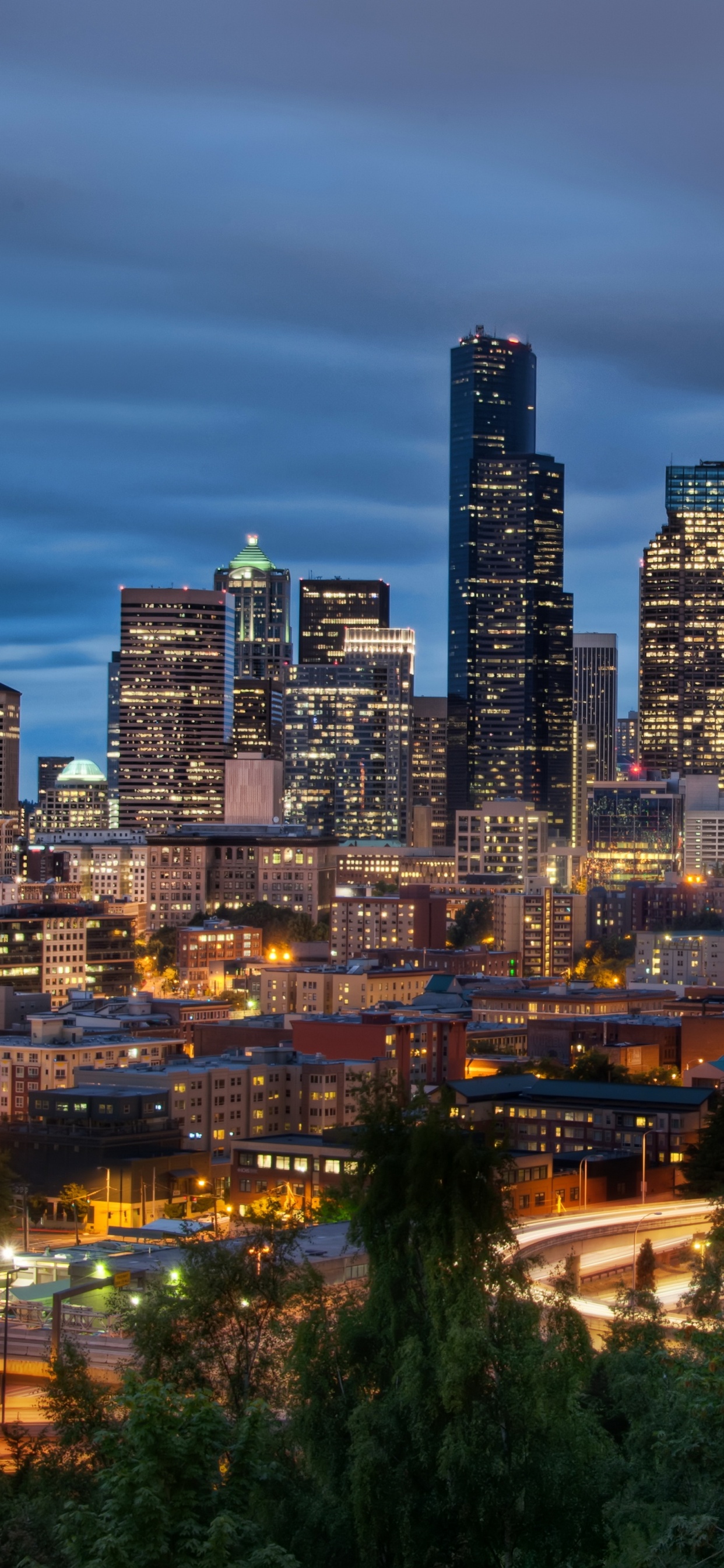 Обои городской пейзаж, город, городской район, линия горизонта, ночь в разрешении 1242x2688