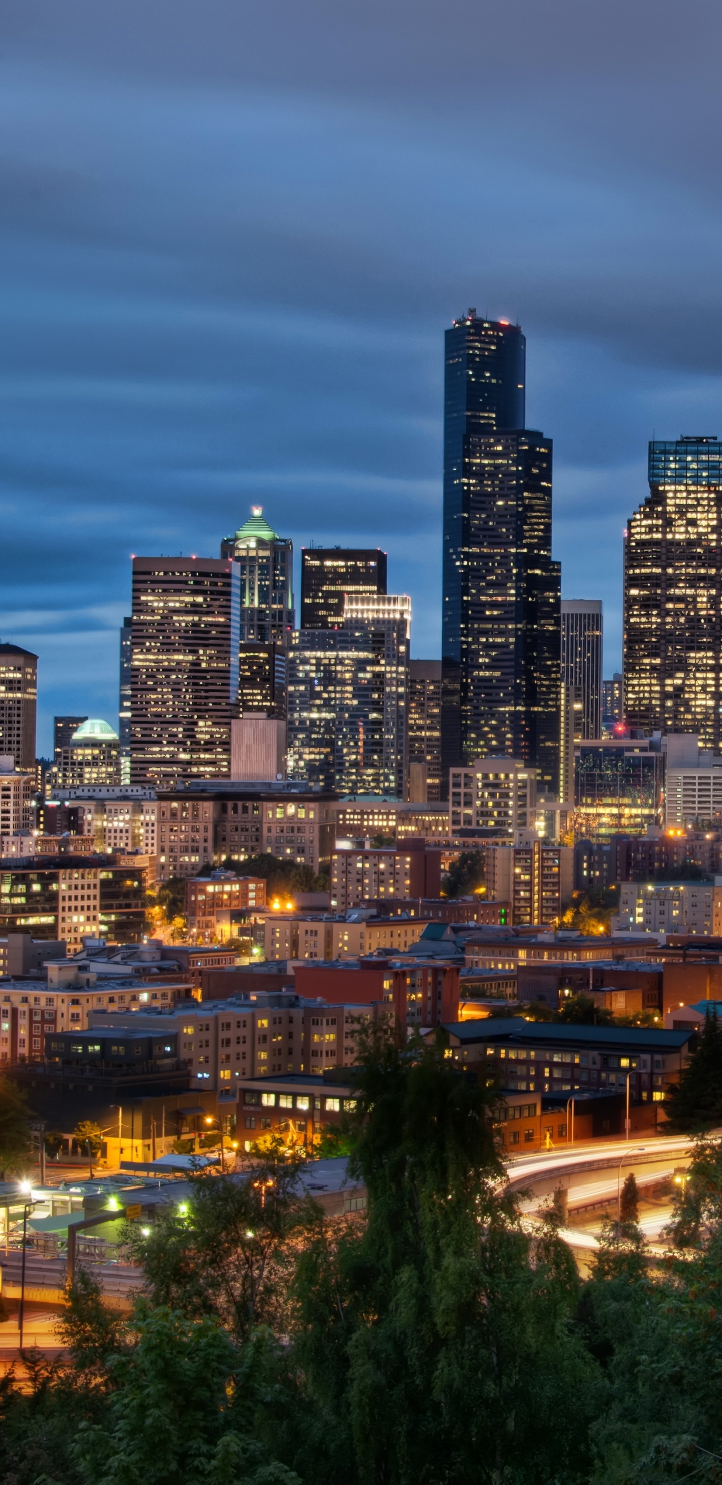 Обои городской пейзаж, город, городской район, линия горизонта, ночь в разрешении 1440x2960