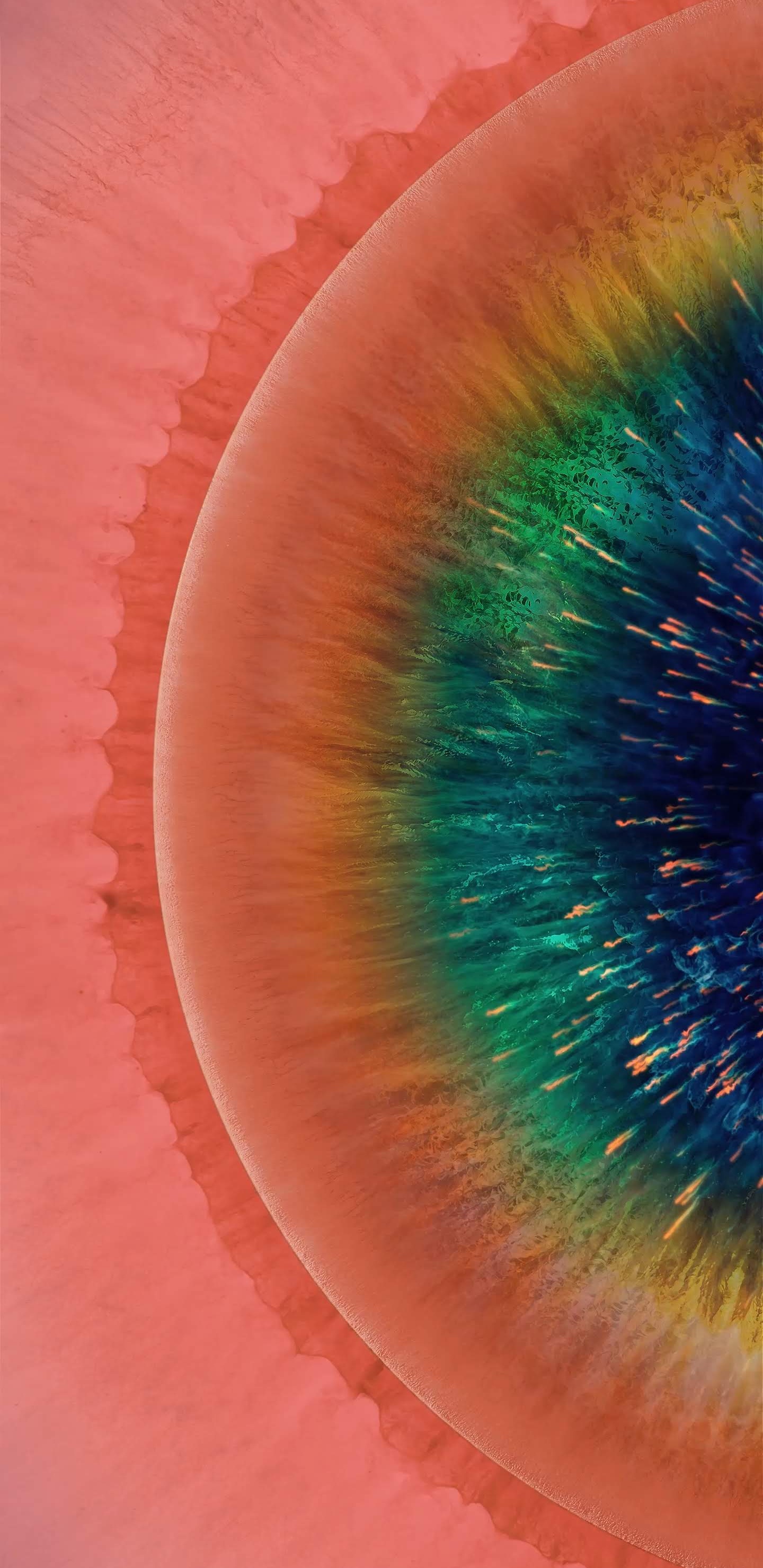 Обои OPPO, OPPO Find X2, OPPO Найти Х, OPPO найти X2 Pro, андроид в разрешении 1440x2960