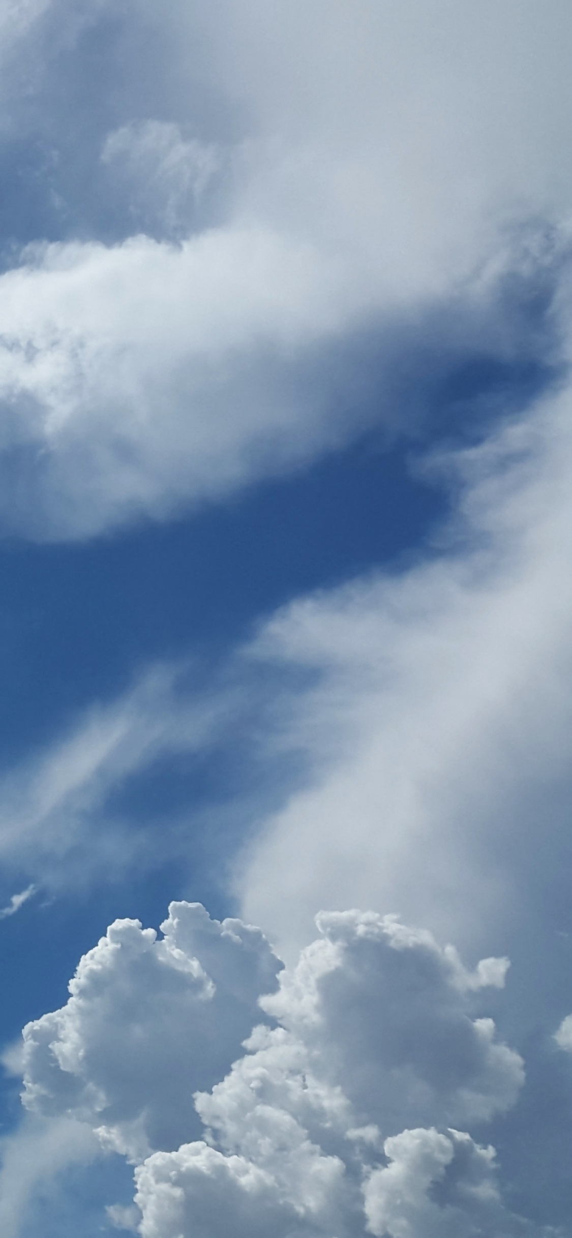 Обои облако, синий, кучевое облако, солнечный свет, кучевые в разрешении 1125x2436