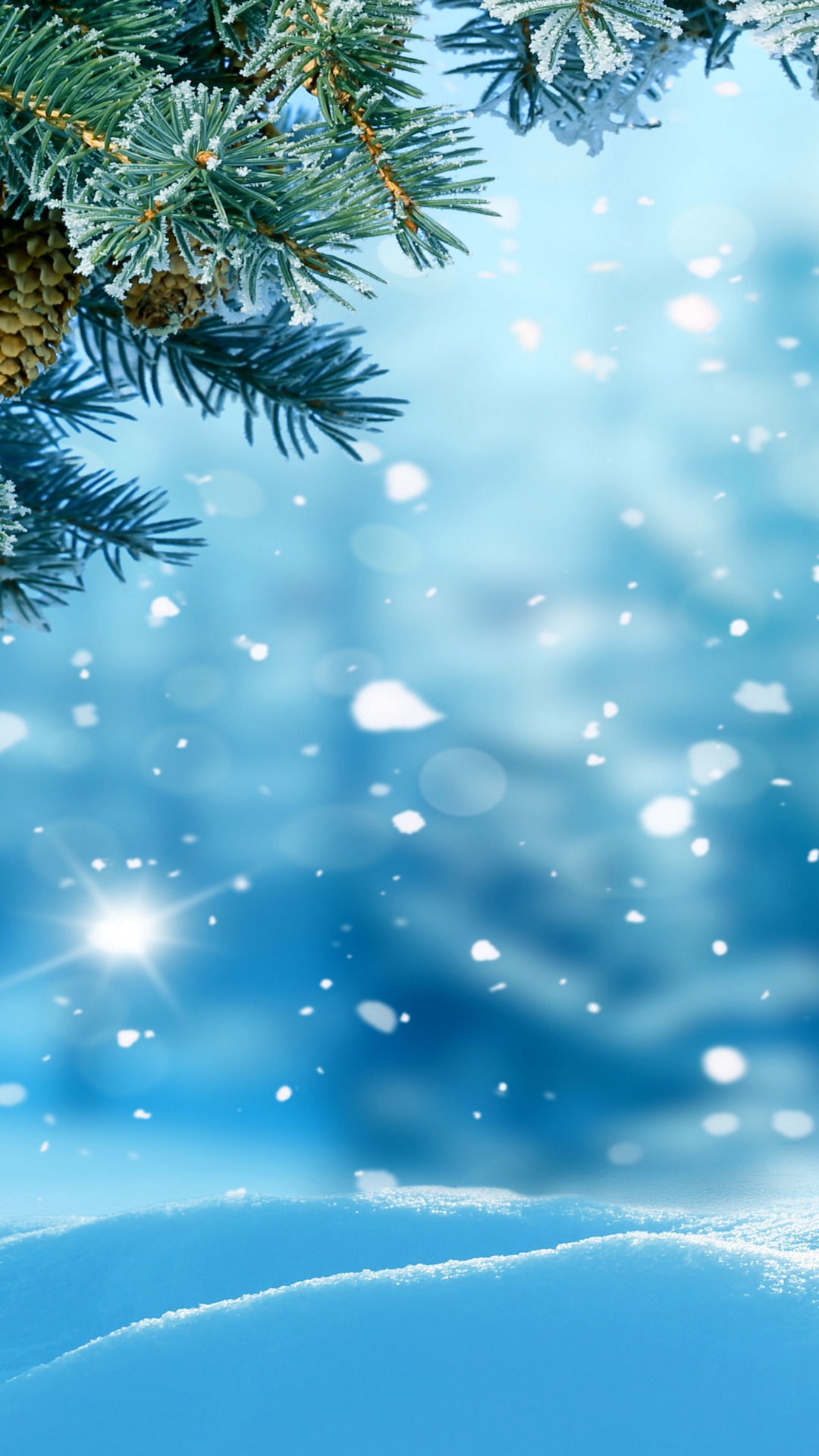 Обои снег, зима, дерево, синий, ветвь в разрешении 1080x1920