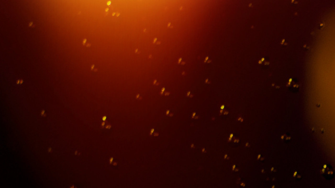 Обои наложение текстуры, свет, атмосфера, темнота, текстура в разрешении 1280x720