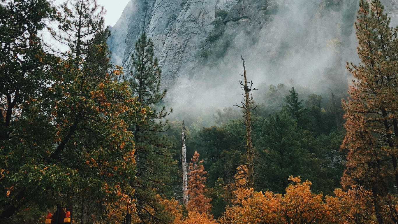 Обои природа, национальный парк, природный ландшафт, дерево, горный рельеф в разрешении 1366x768