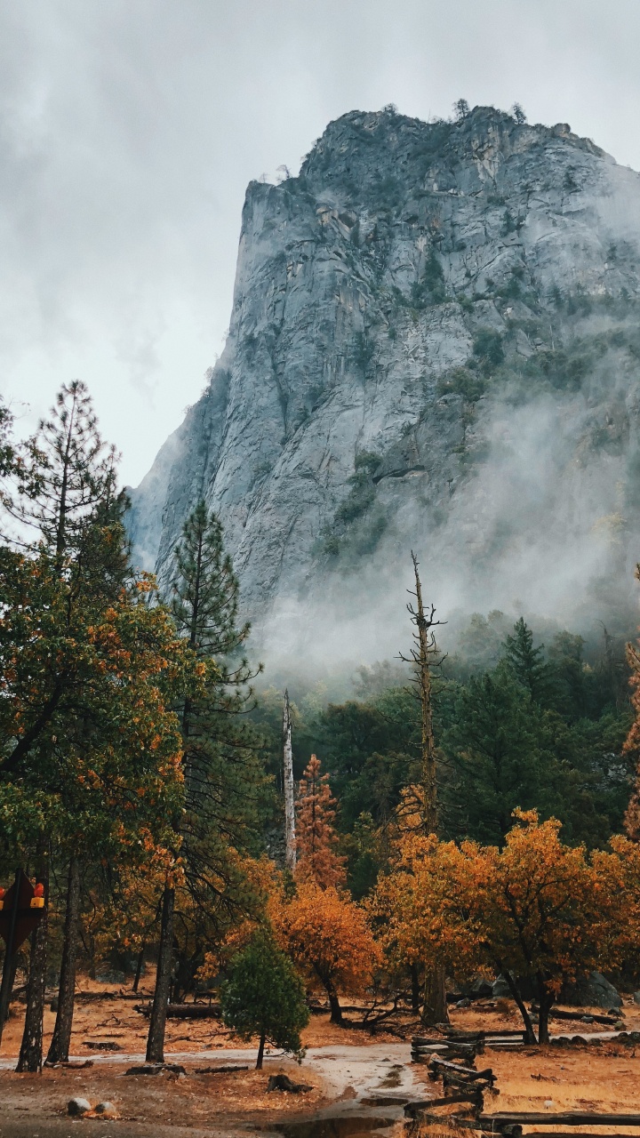 Обои природа, национальный парк, природный ландшафт, дерево, горный рельеф в разрешении 720x1280