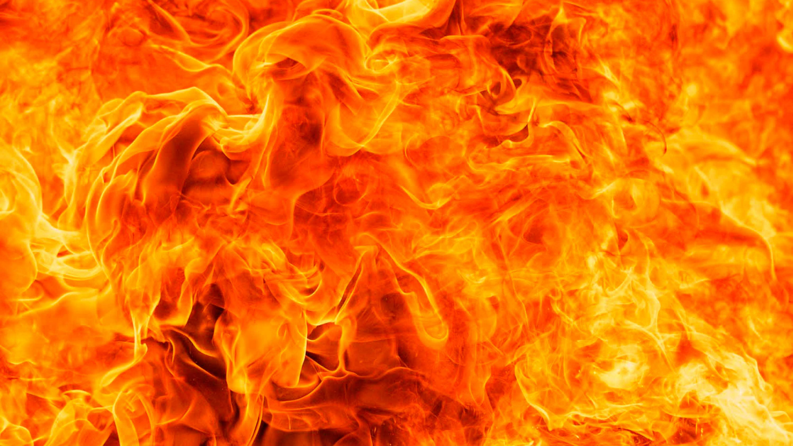Обои огонь, пламя, Апельсин, иллюстрация, желтый в разрешении 2560x1440