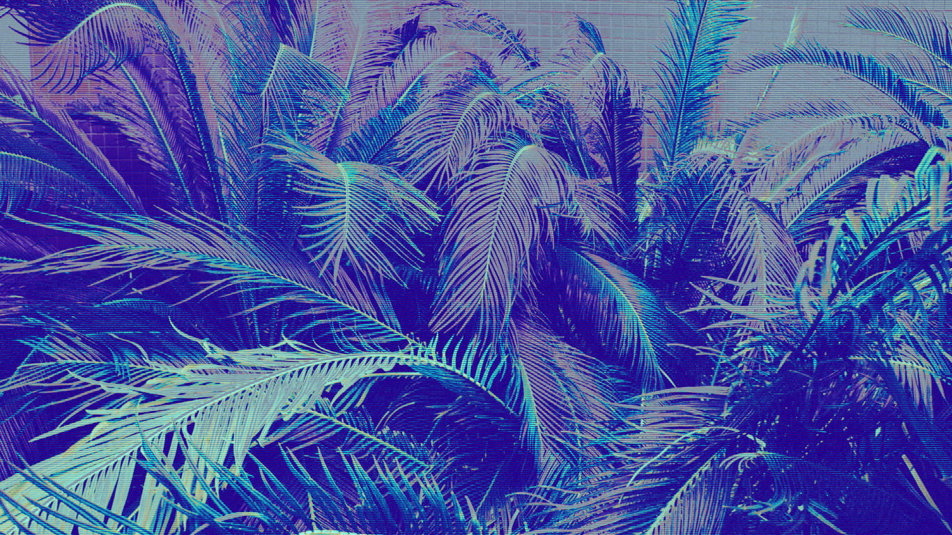 Обои лист, растение, ветвь, наземное растение, вечнозеленое растение в разрешении 1366x768