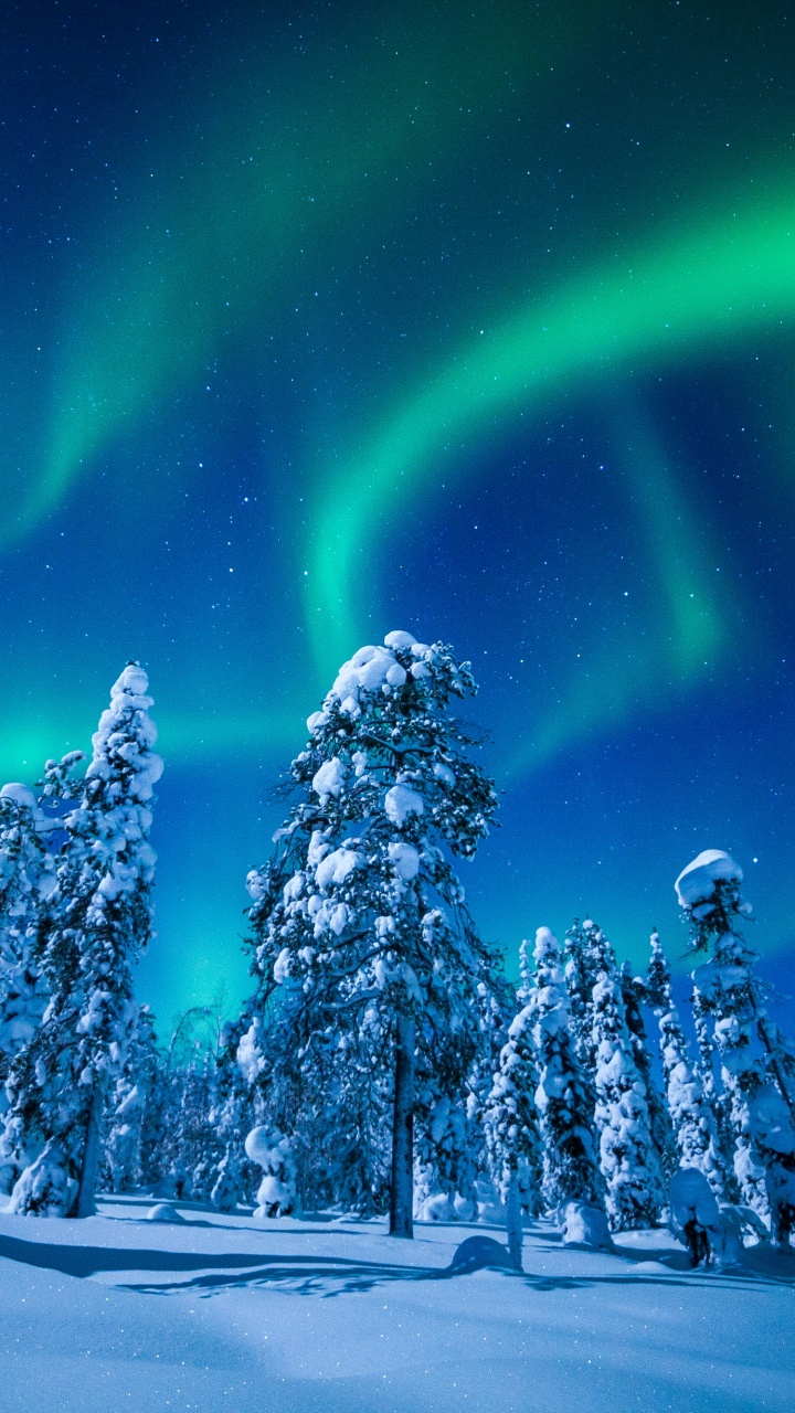 Обои Аврора, снег, зима, ночь, природа в разрешении 720x1280