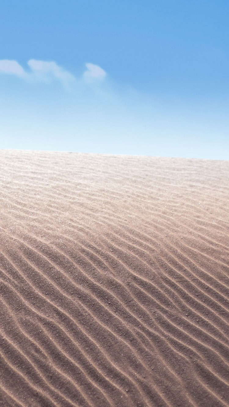 Обои пустыня, Дюна, песок, эрг, эолийские рельефы в разрешении 750x1334