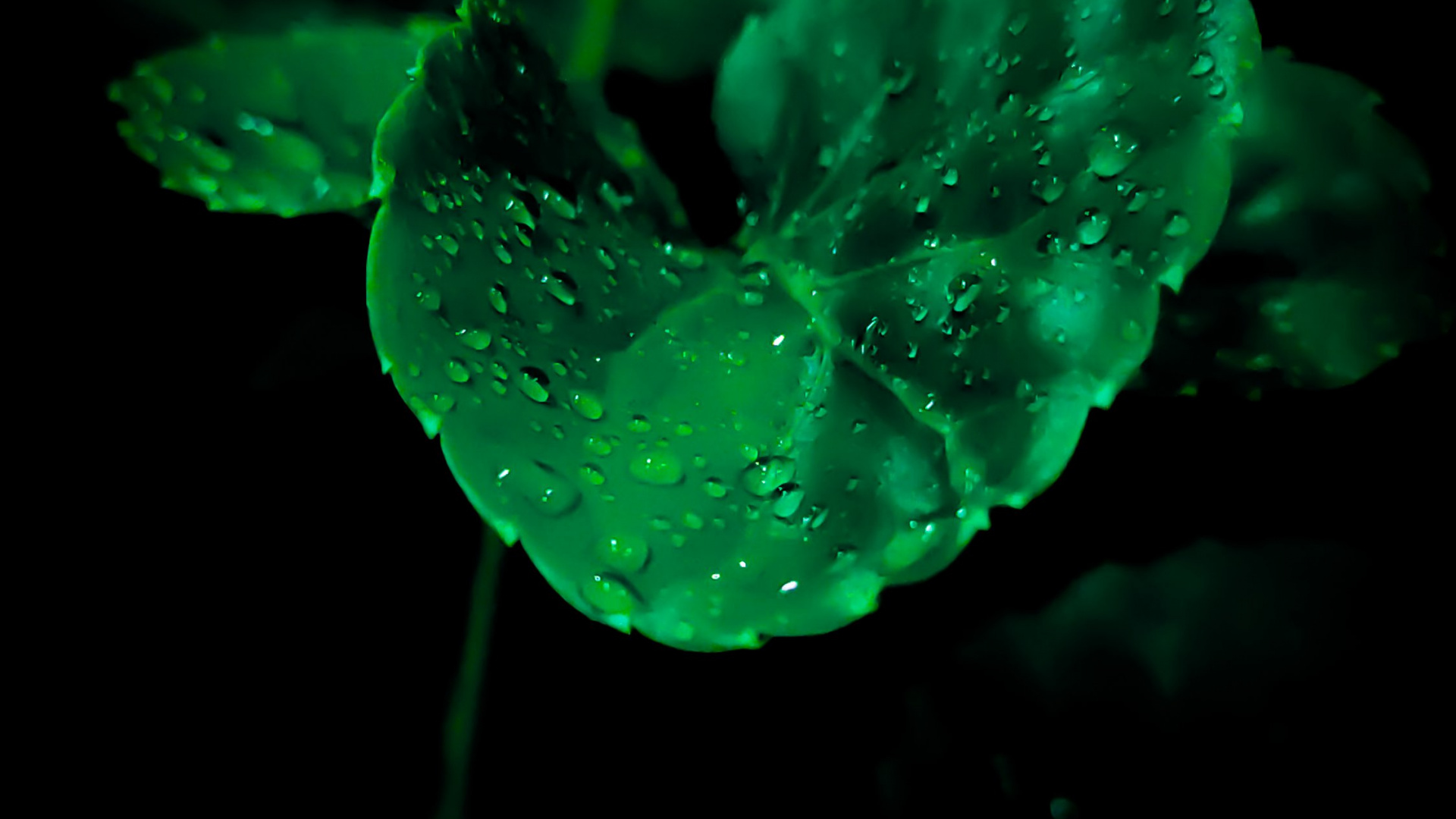 Обои амолед, OLED, яблоко, андроид, водоем в разрешении 1920x1080