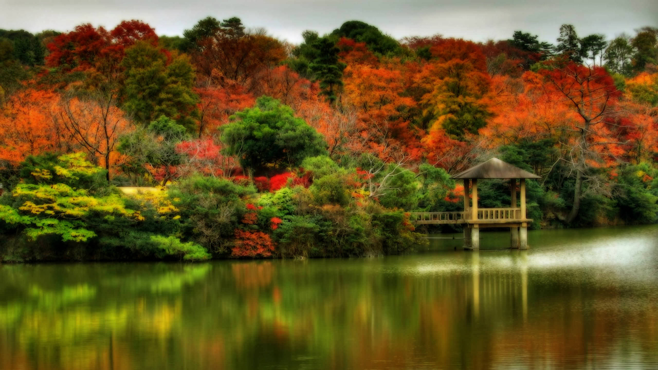 Обои осень, отражение, природа, лист, дерево в разрешении 1280x720