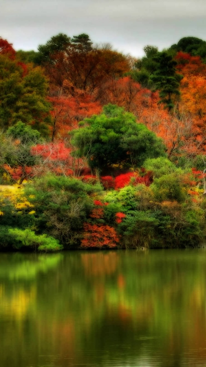 Обои осень, отражение, природа, лист, дерево в разрешении 720x1280