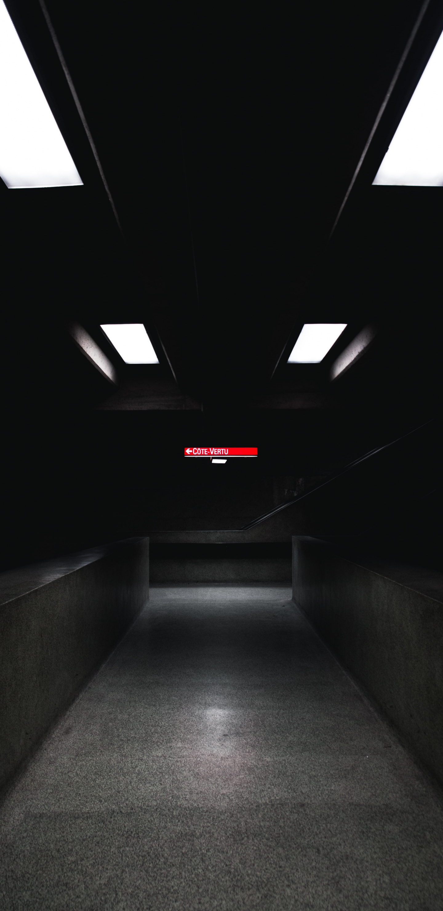 Обои свет, освещение, черный, темнота, снимок в разрешении 1440x2960