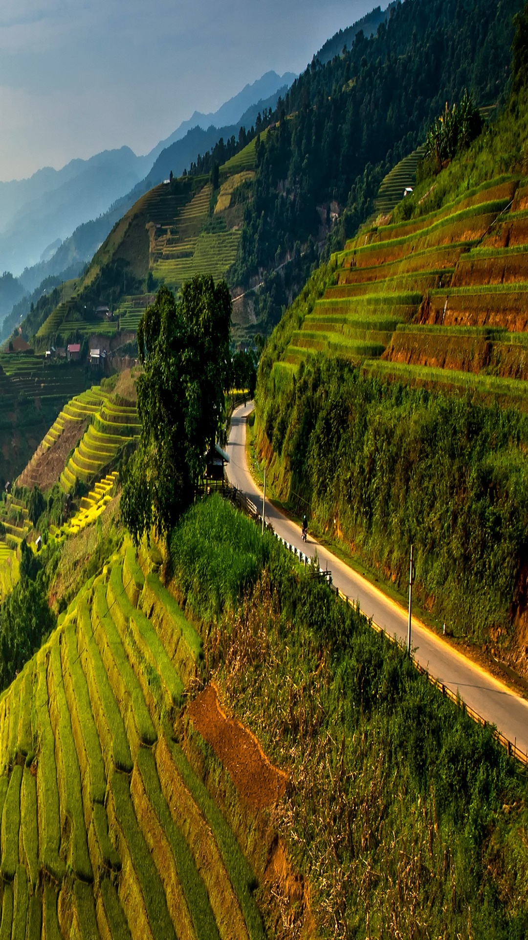 Обои терраса, нагорье, природа, горный рельеф, гора в разрешении 1080x1920