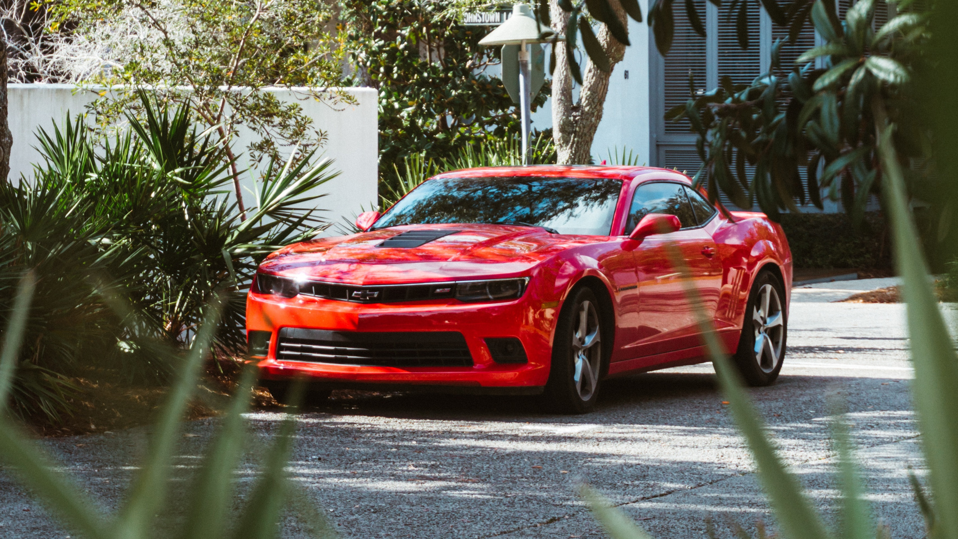 Обои спорткар, мускул кар, красный цвет, дерево, автомобильный экстерьер в разрешении 1920x1080