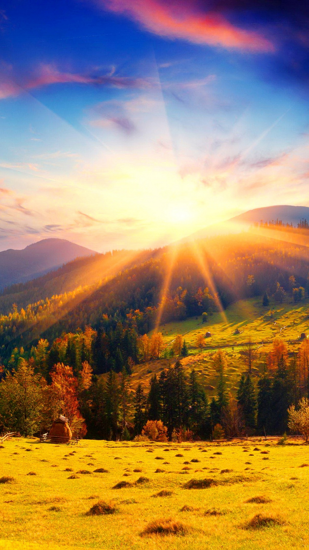 Обои осень, арт, природа, дерево, ютуб в разрешении 1080x1920