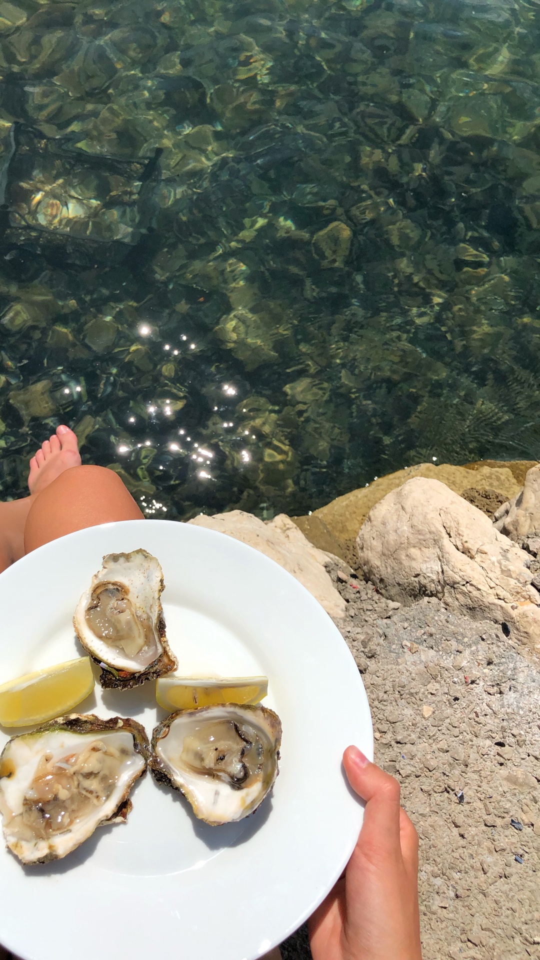 Обои устрица, мидия, морепродукты, очки, водоем в разрешении 1080x1920