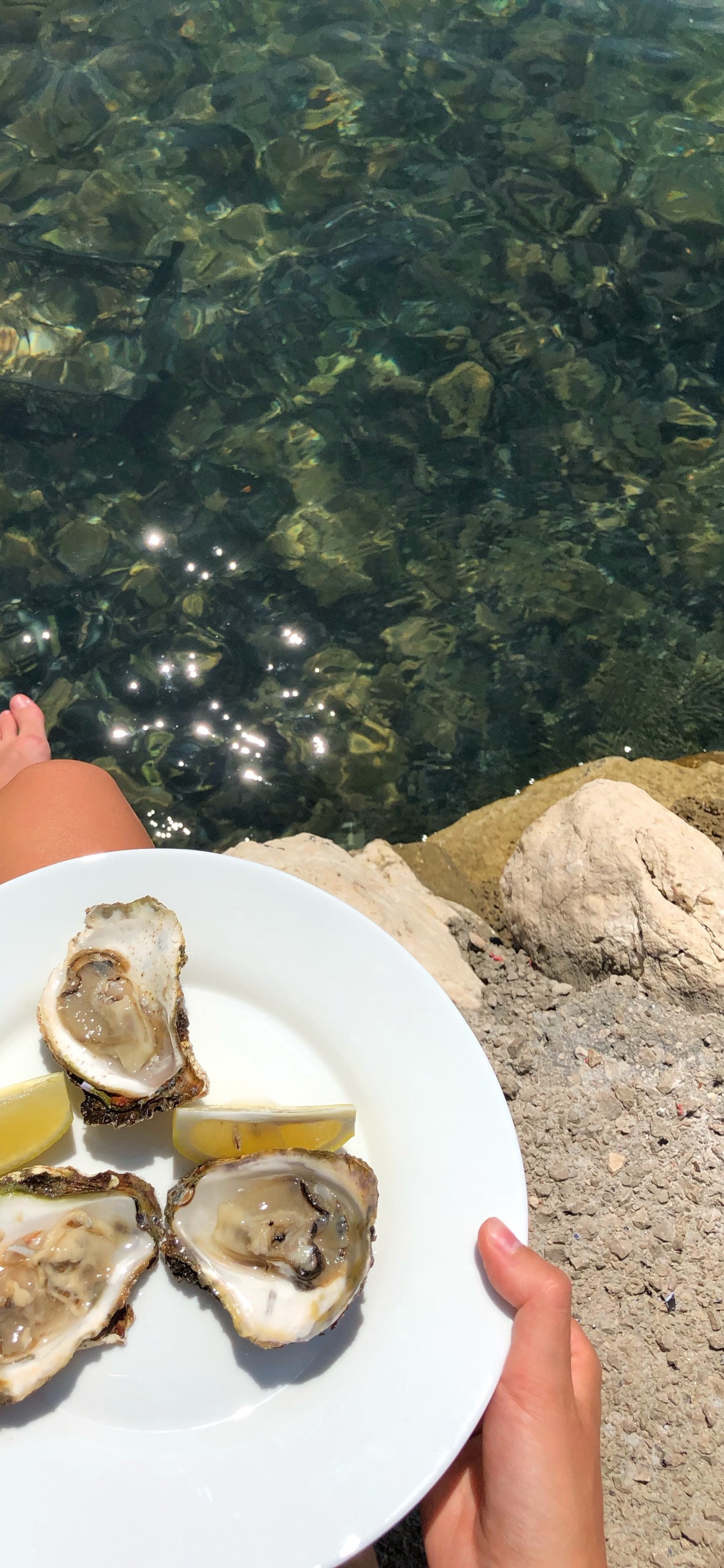 Обои устрица, мидия, морепродукты, очки, водоем в разрешении 1125x2436