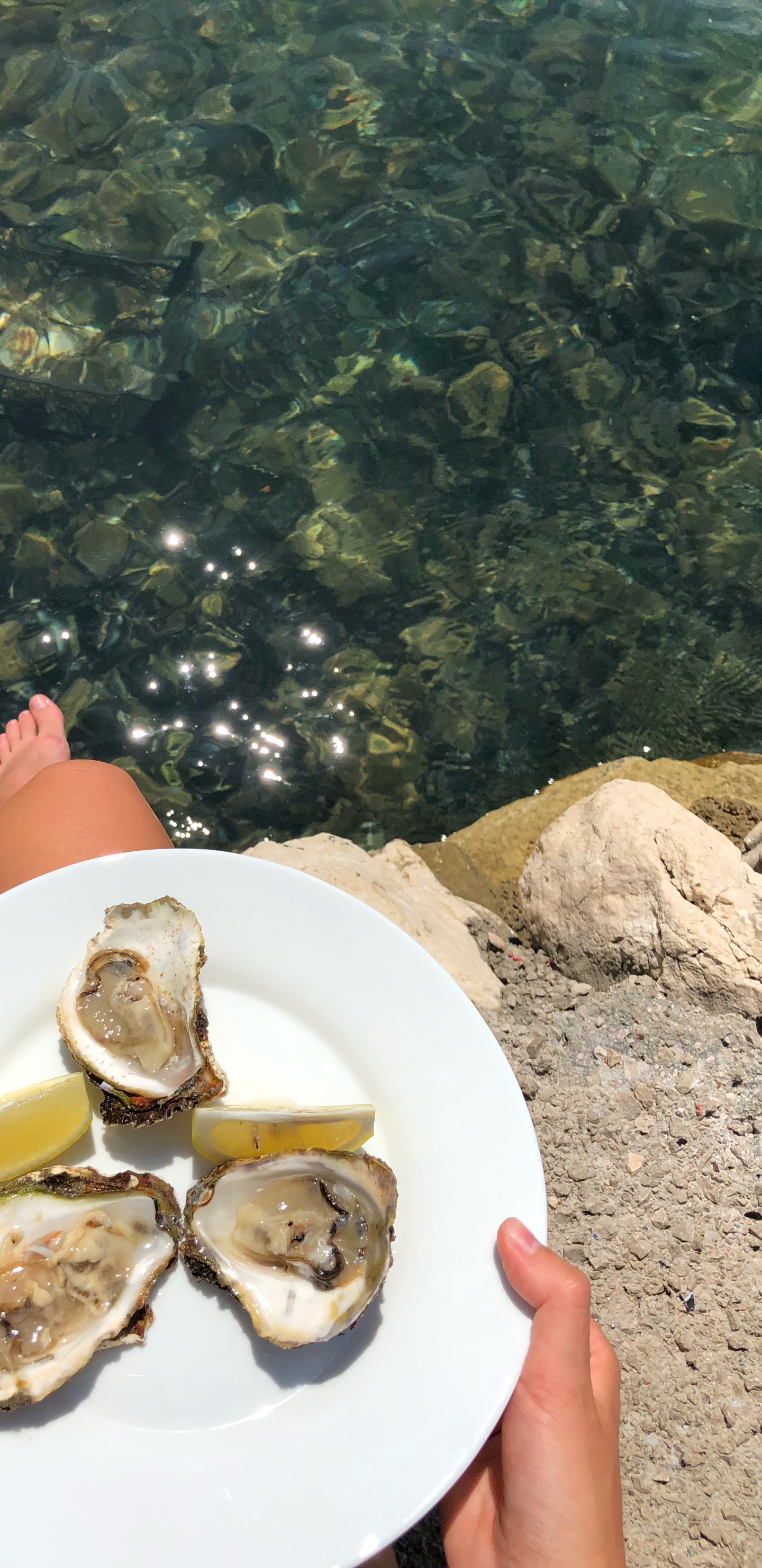 Обои устрица, мидия, морепродукты, очки, водоем в разрешении 1440x2960