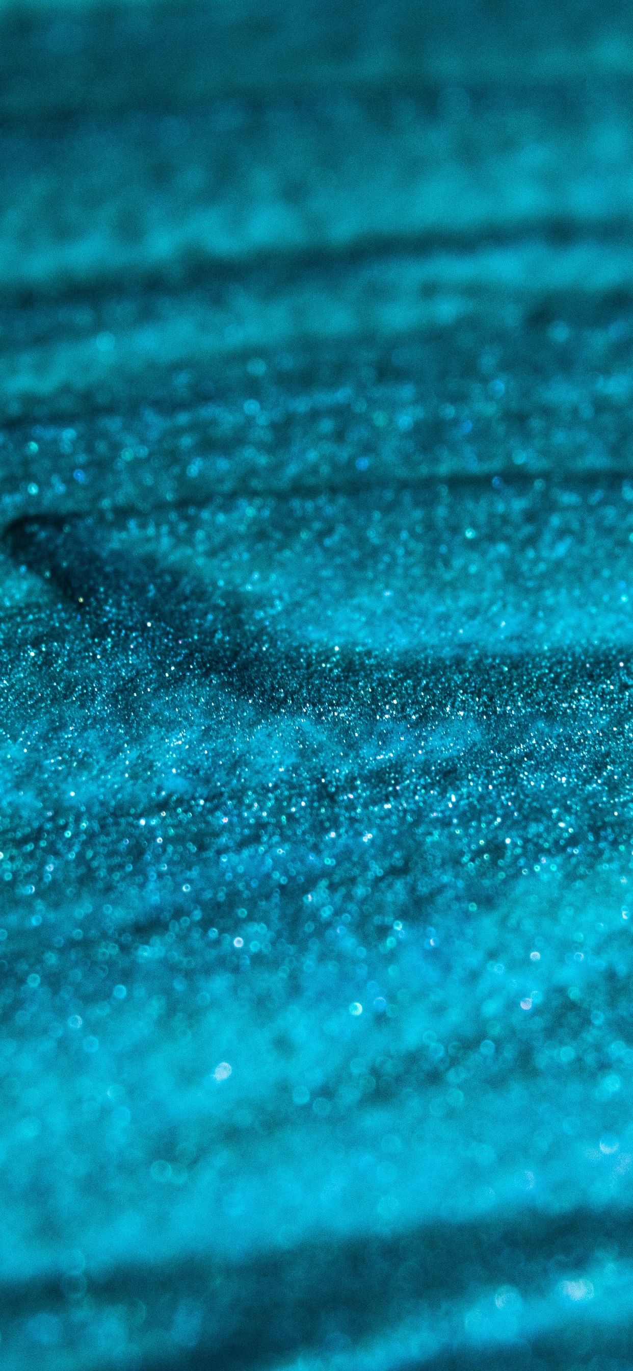 Обои лазурный, Белый медведь на льду, синий, вода, чирок в разрешении 1242x2688