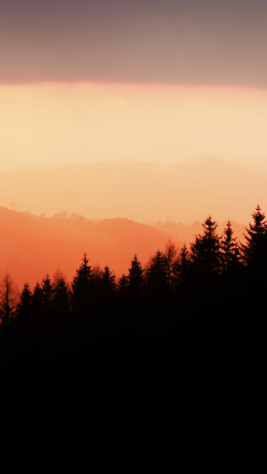 Обои атмосфера, экорегион, природный ландшафт, гора, ветвь в разрешении 1080x1920