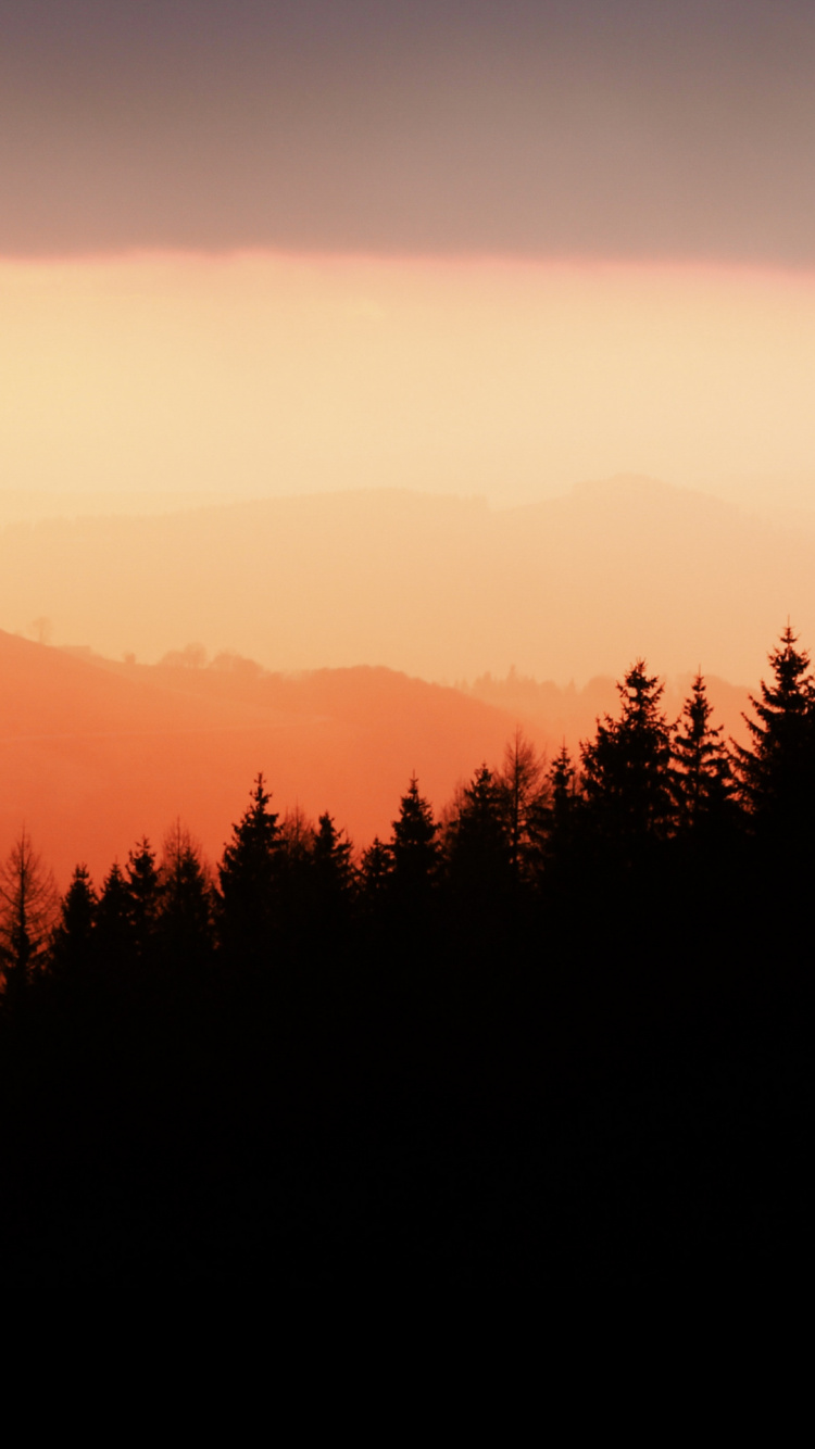 Обои атмосфера, экорегион, природный ландшафт, гора, ветвь в разрешении 750x1334