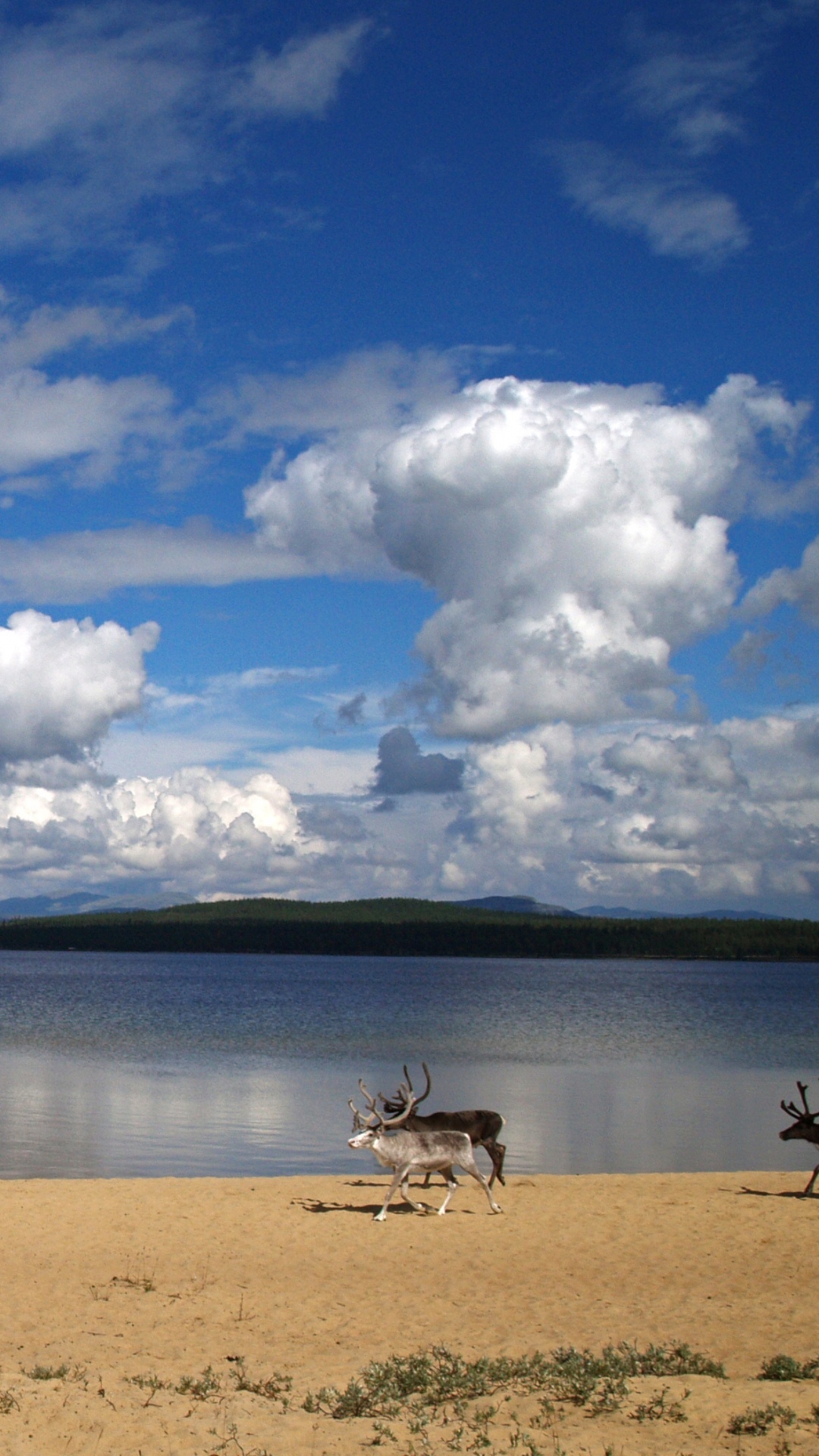 Обои облако, горизонт, экорегион, вода, кучевое облако в разрешении 1080x1920