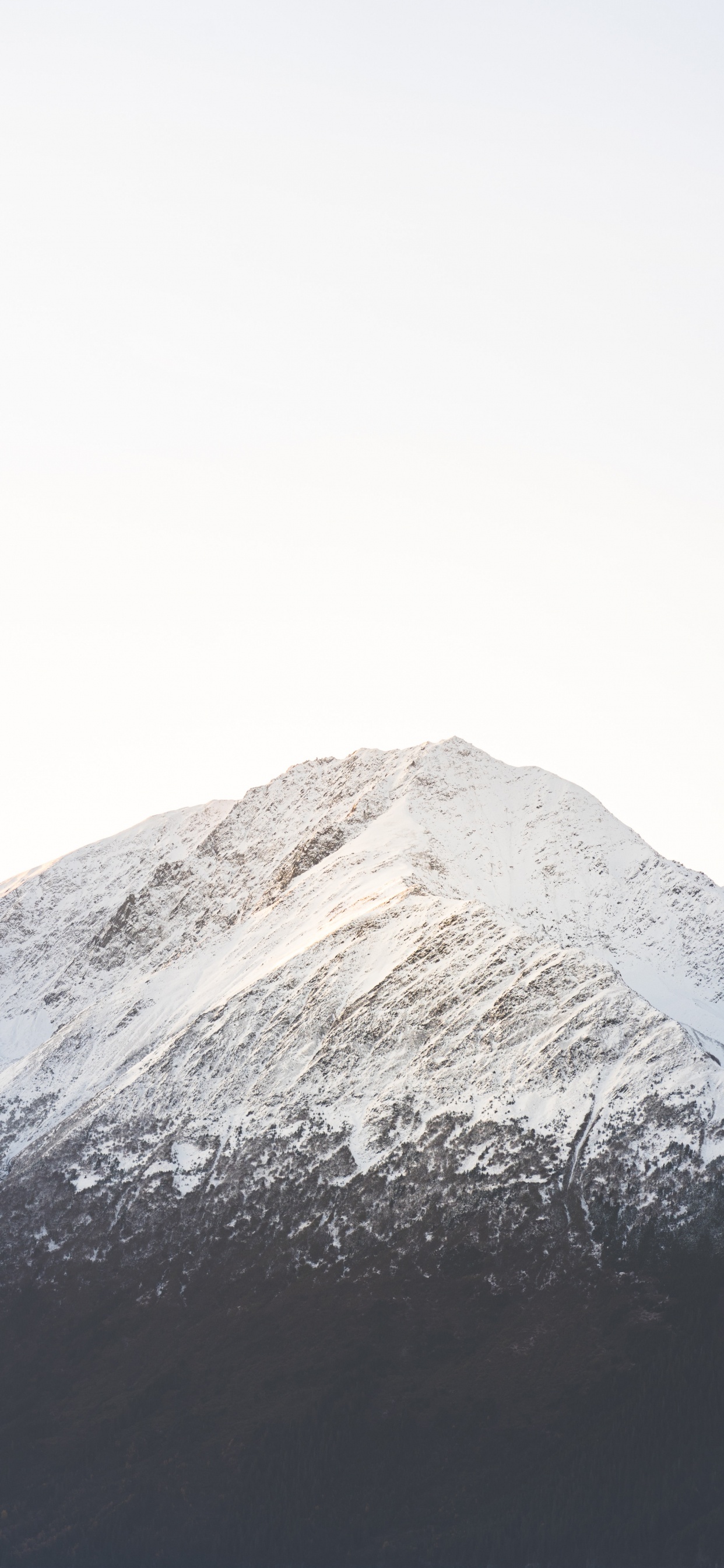 Обои гора, снег, белые, горный рельеф, холм в разрешении 1242x2688