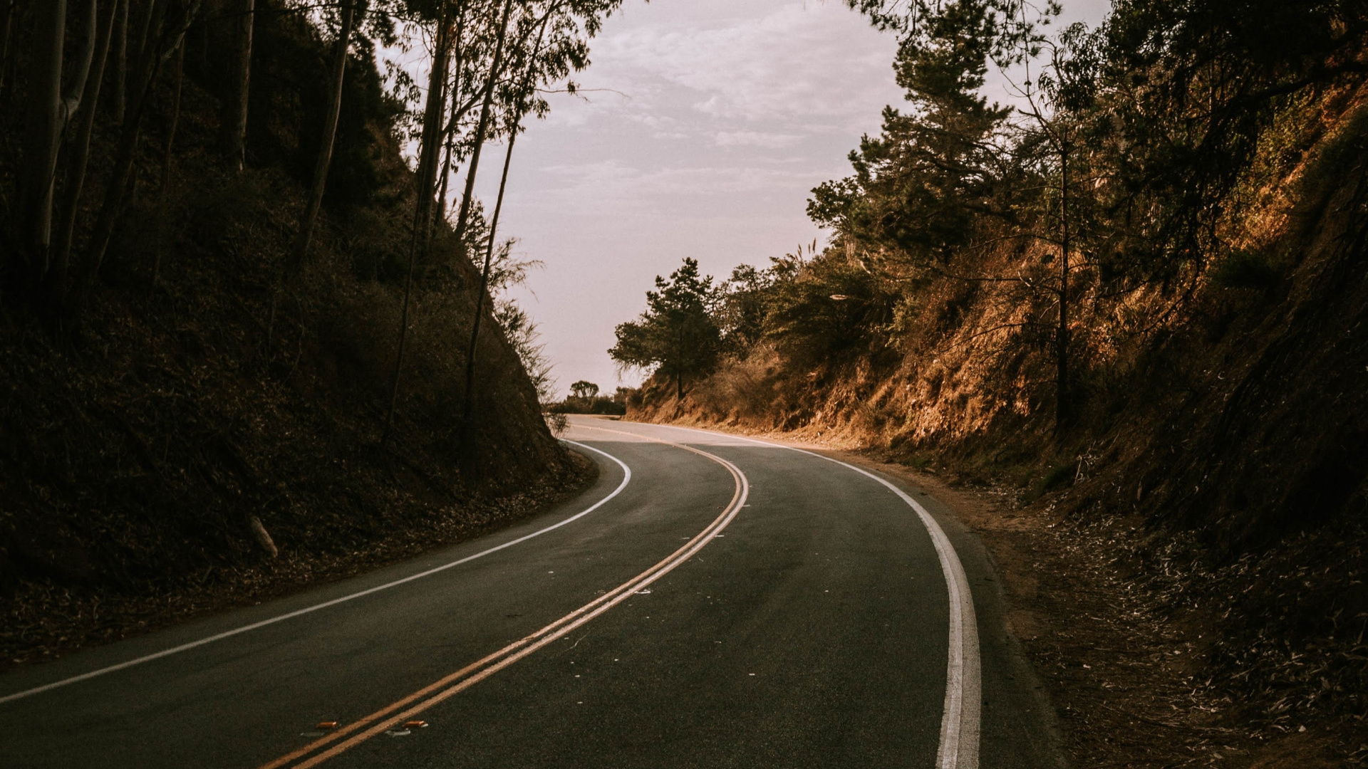 Обои дорога, дерево, переулок, асфальт, природный ландшафт в разрешении 1920x1080