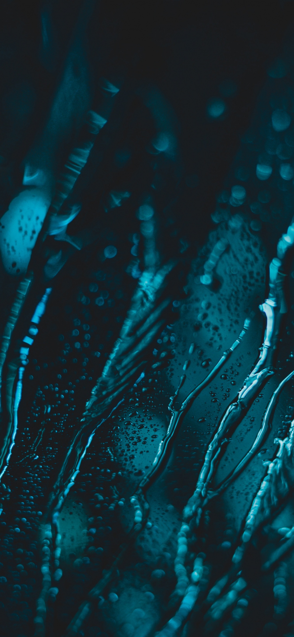 Обои синий, вода, черный, зеленый, бирюза в разрешении 1125x2436