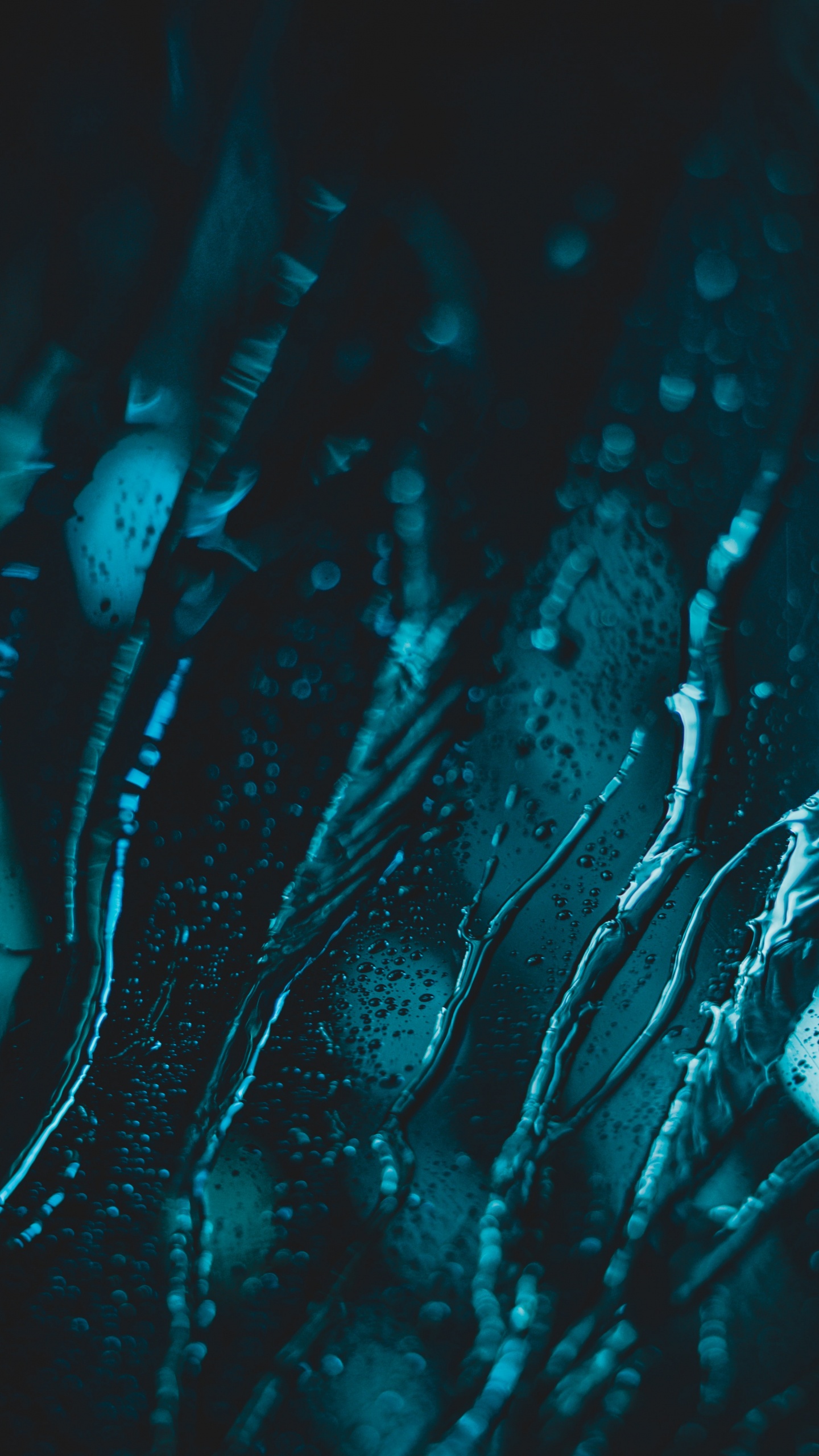 Обои синий, вода, черный, зеленый, бирюза в разрешении 1440x2560