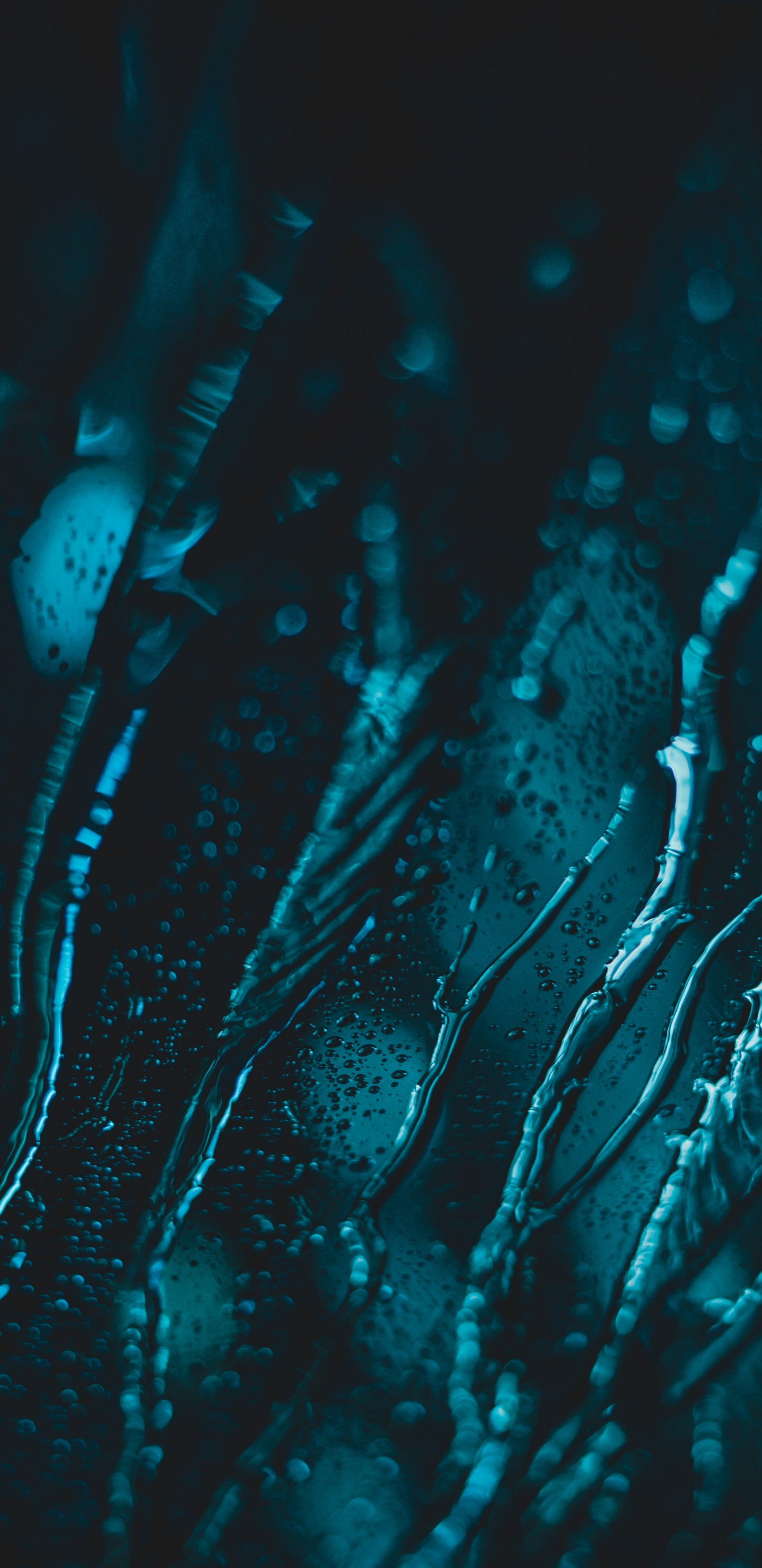 Обои синий, вода, черный, зеленый, бирюза в разрешении 1440x2960