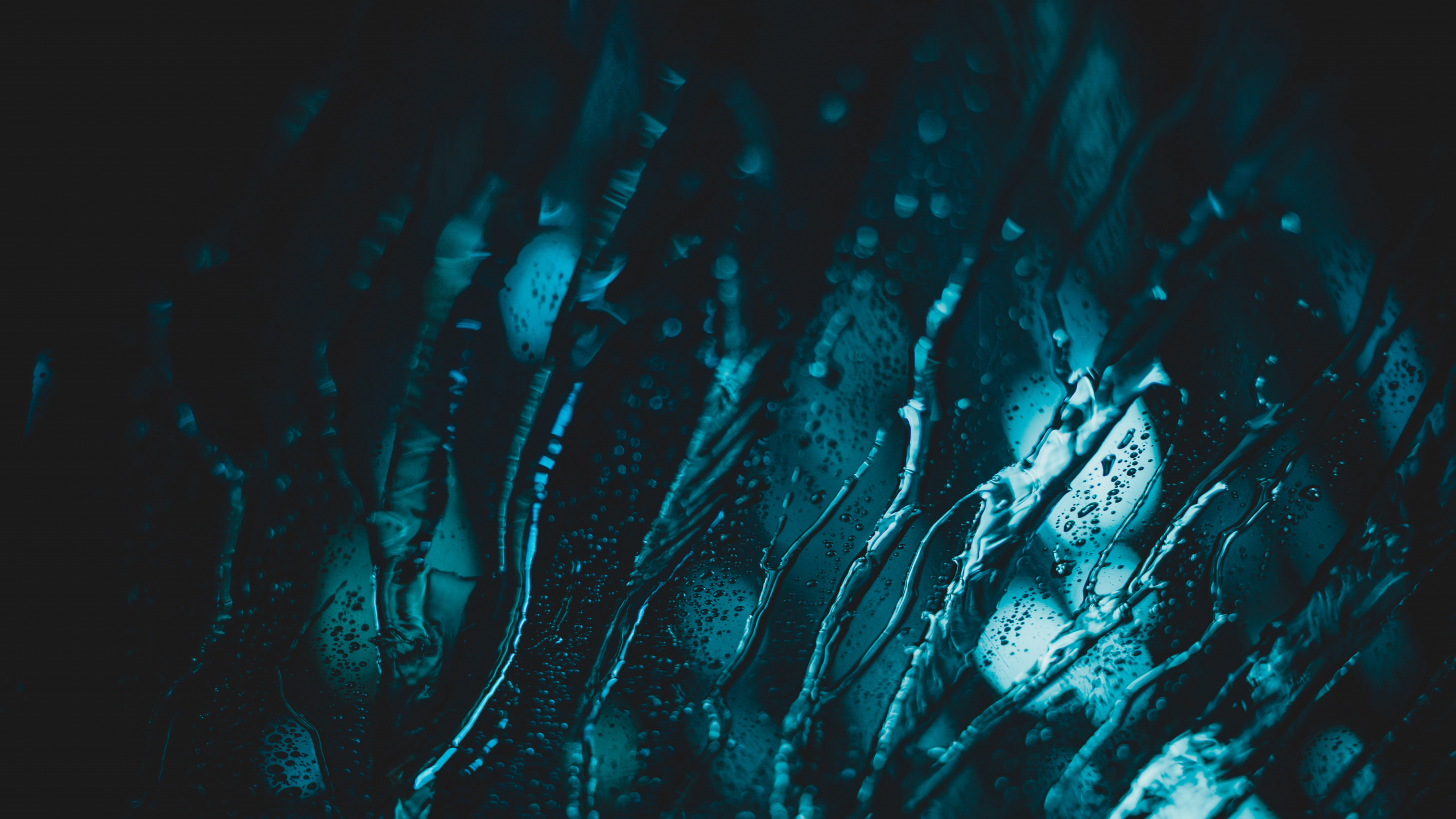 Обои синий, вода, черный, зеленый, бирюза в разрешении 2560x1440