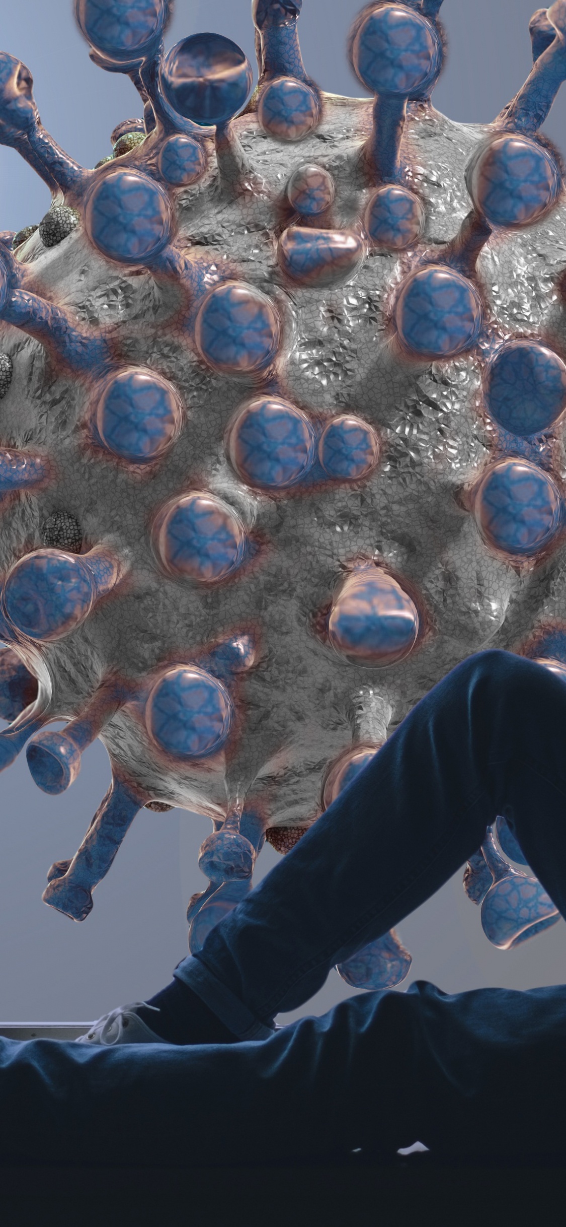 Обои вирус, коронавирус, COVID-19, строгая изоляция, пандемия в разрешении 1125x2436