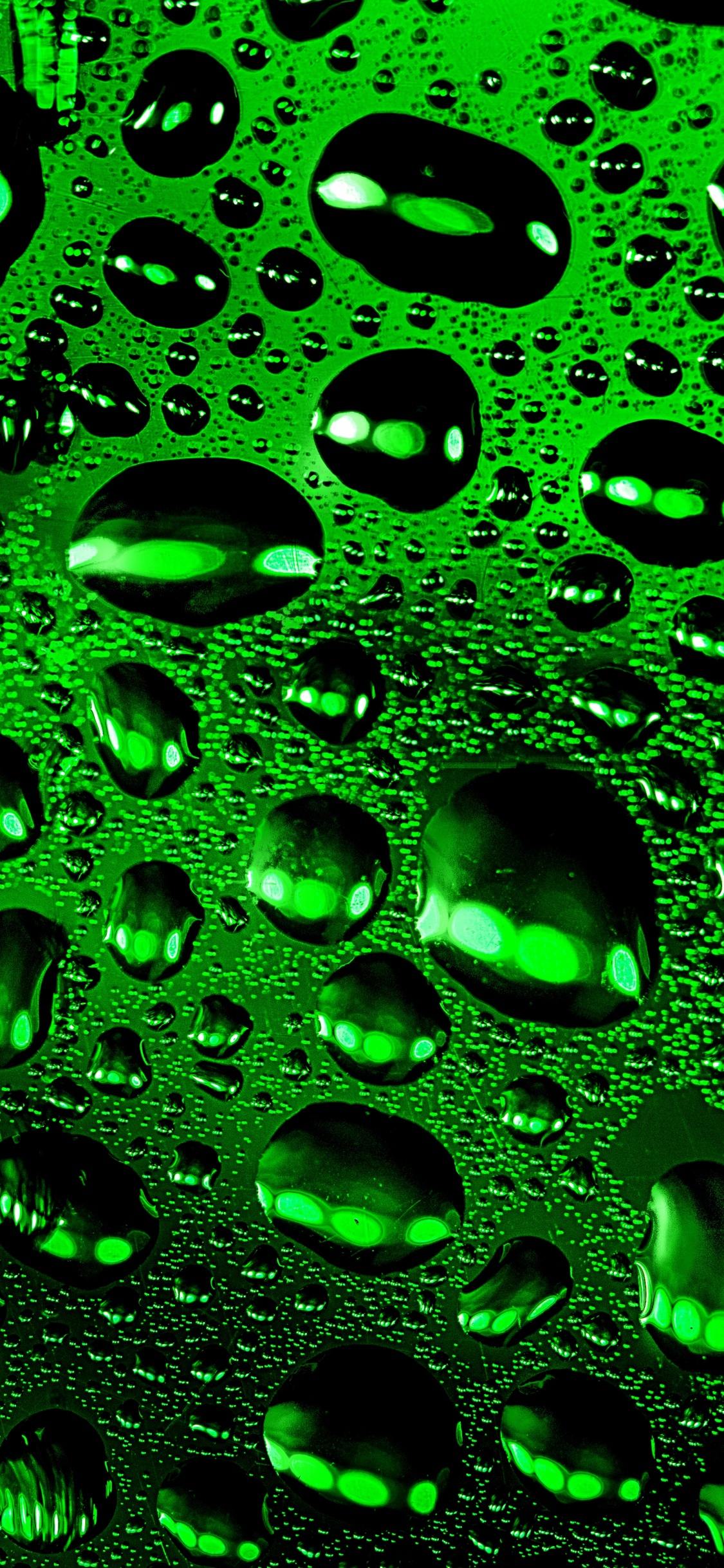 Обои зеленый, вода, падение, роса, узор в разрешении 1125x2436