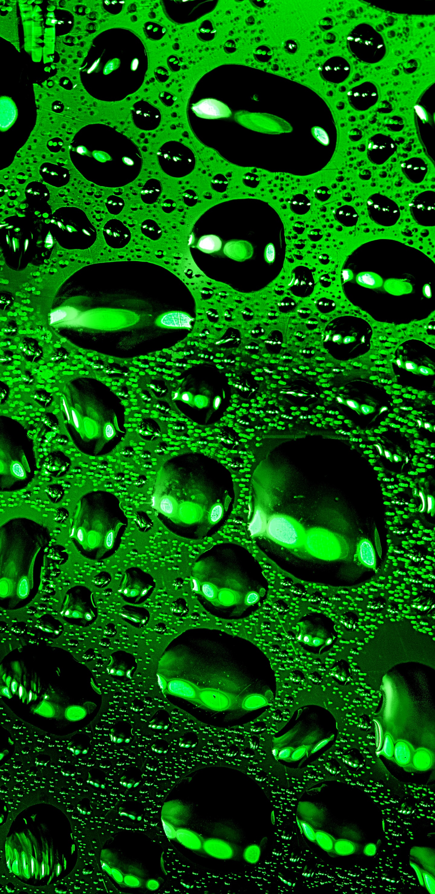 Обои зеленый, вода, падение, роса, узор в разрешении 1440x2960