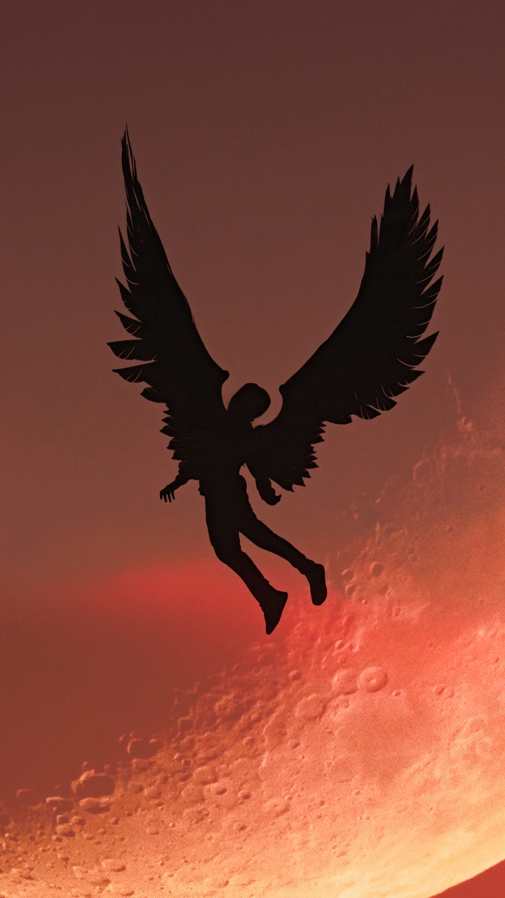 Обои атмосфера, луна, клюв, птица, арт в разрешении 720x1280