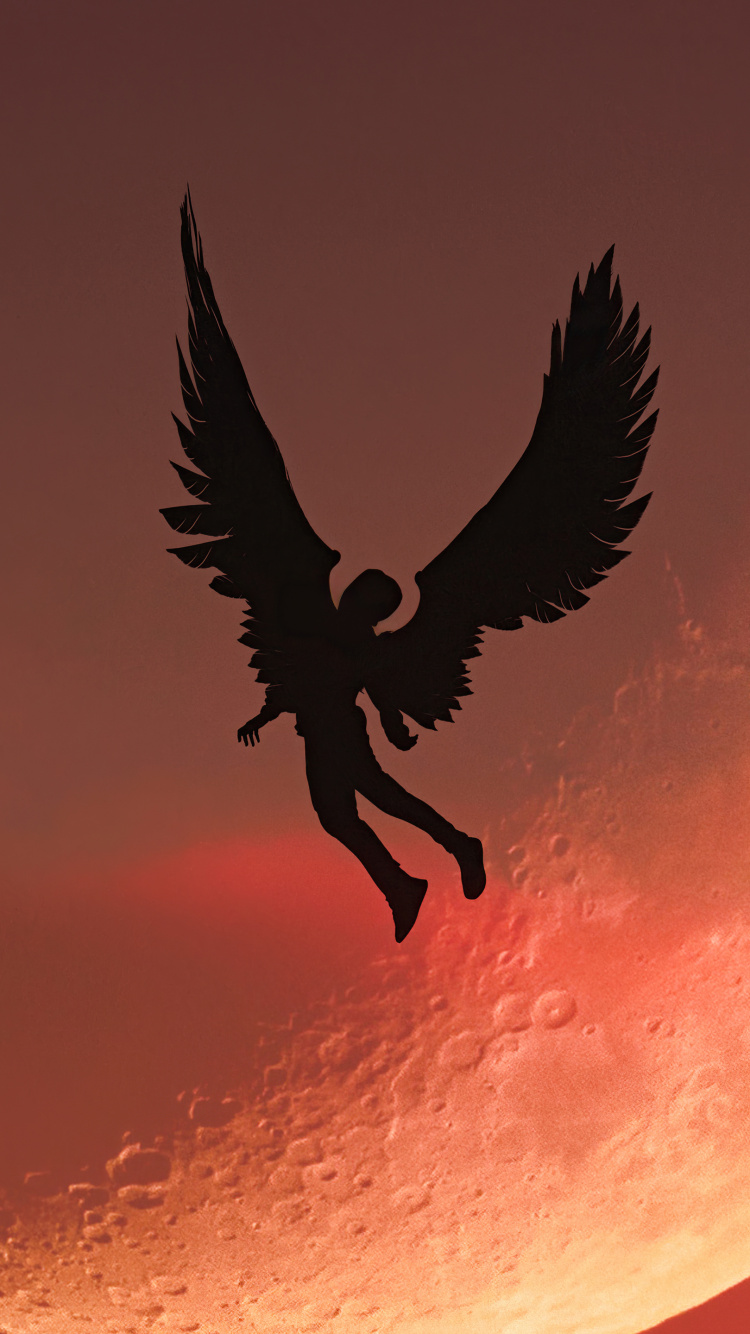 Обои атмосфера, луна, клюв, птица, арт в разрешении 750x1334