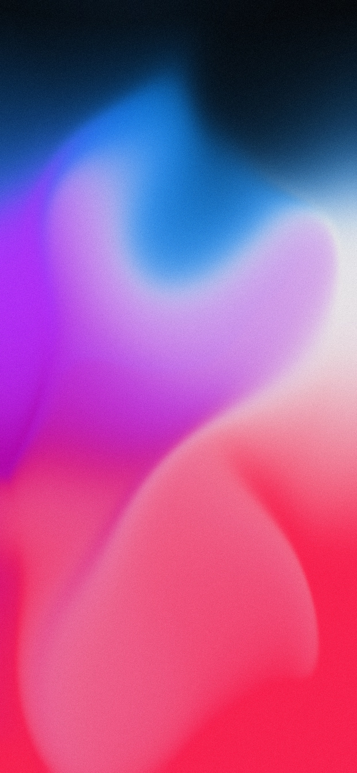 Обои крупный план, красочность, лепесток, пурпур, розовый в разрешении 1242x2688