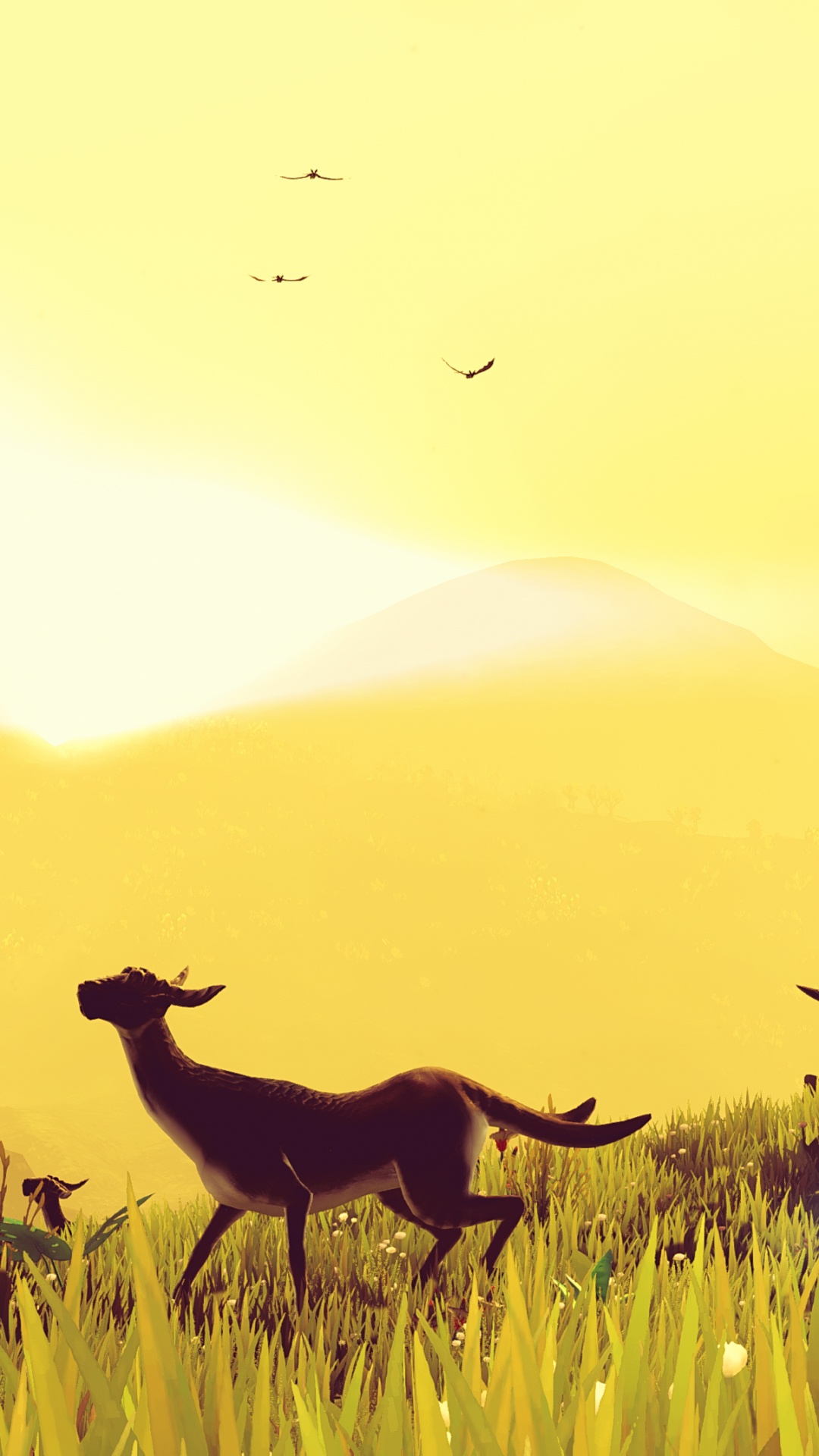 Обои пляж лара, Нет Неба-Мане, экорегион, природа, Люди в природе в разрешении 1080x1920