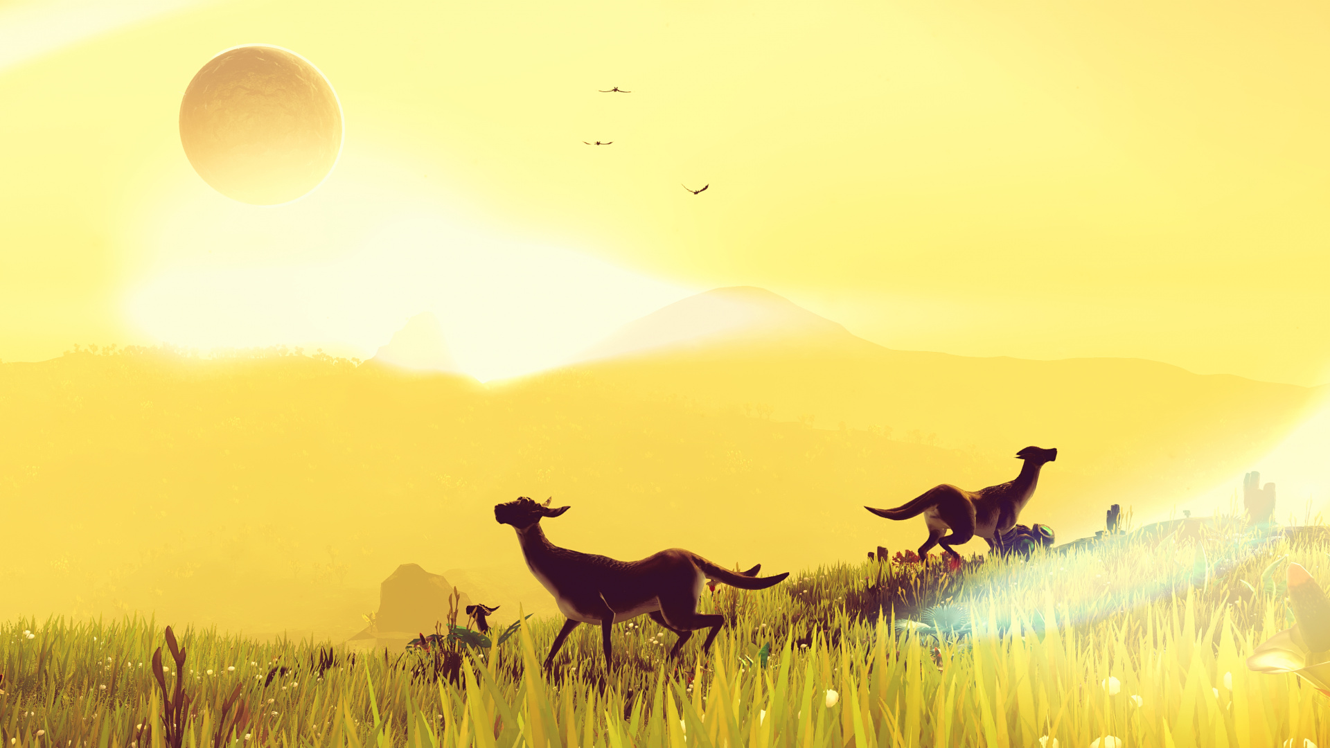 Обои пляж лара, Нет Неба-Мане, экорегион, природа, Люди в природе в разрешении 1920x1080