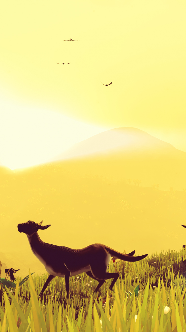 Обои пляж лара, Нет Неба-Мане, экорегион, природа, Люди в природе в разрешении 750x1334