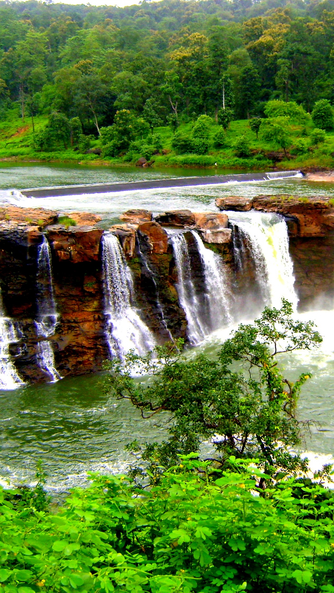 Обои Гира Падает, Saputara, достопримечательность, туризм, путешествие в разрешении 1080x1920