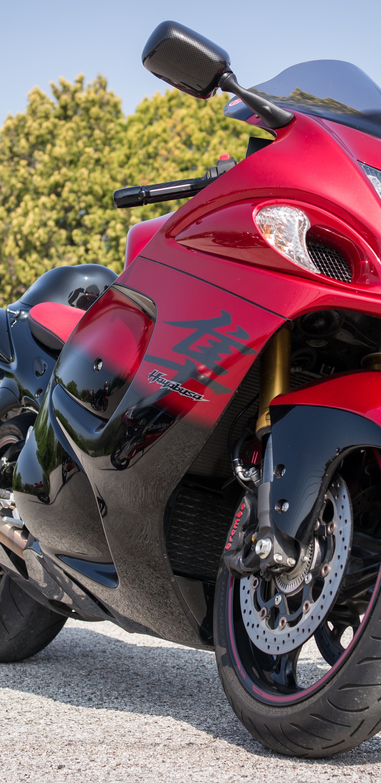 Обои мотоцикл, легковые автомобили, спортивный мотоцикл, триумф тигр 900 ралли, колесо в разрешении 1440x2960