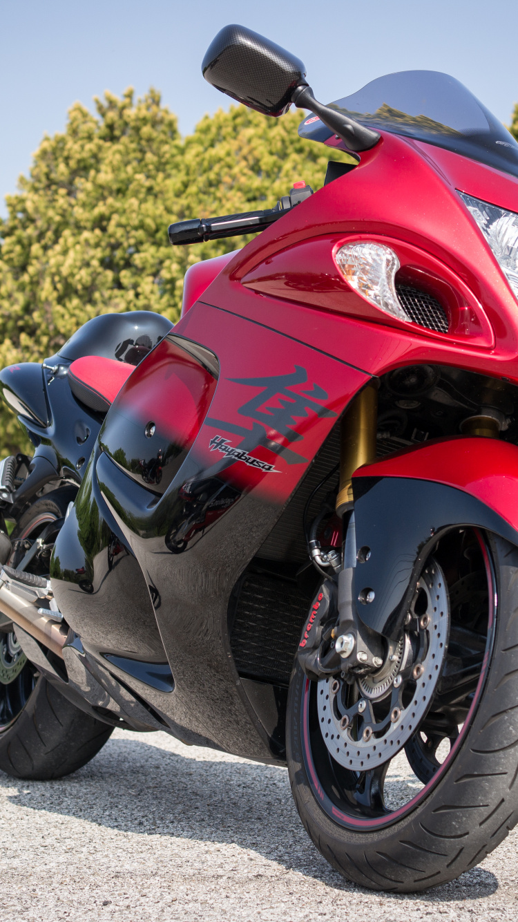 Обои мотоцикл, легковые автомобили, спортивный мотоцикл, триумф тигр 900 ралли, колесо в разрешении 750x1334