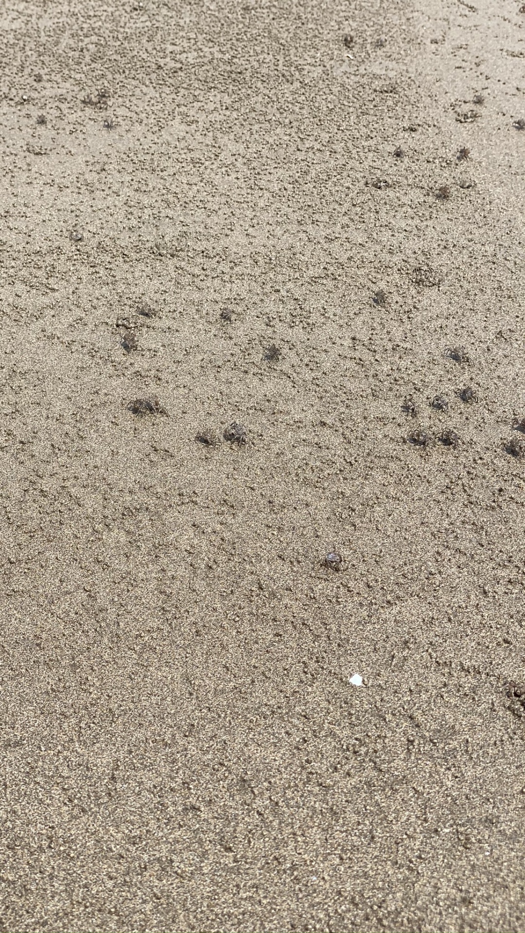 Обои почва, дорожное покрытие, песок, асфальт, серый цвет в разрешении 1080x1920