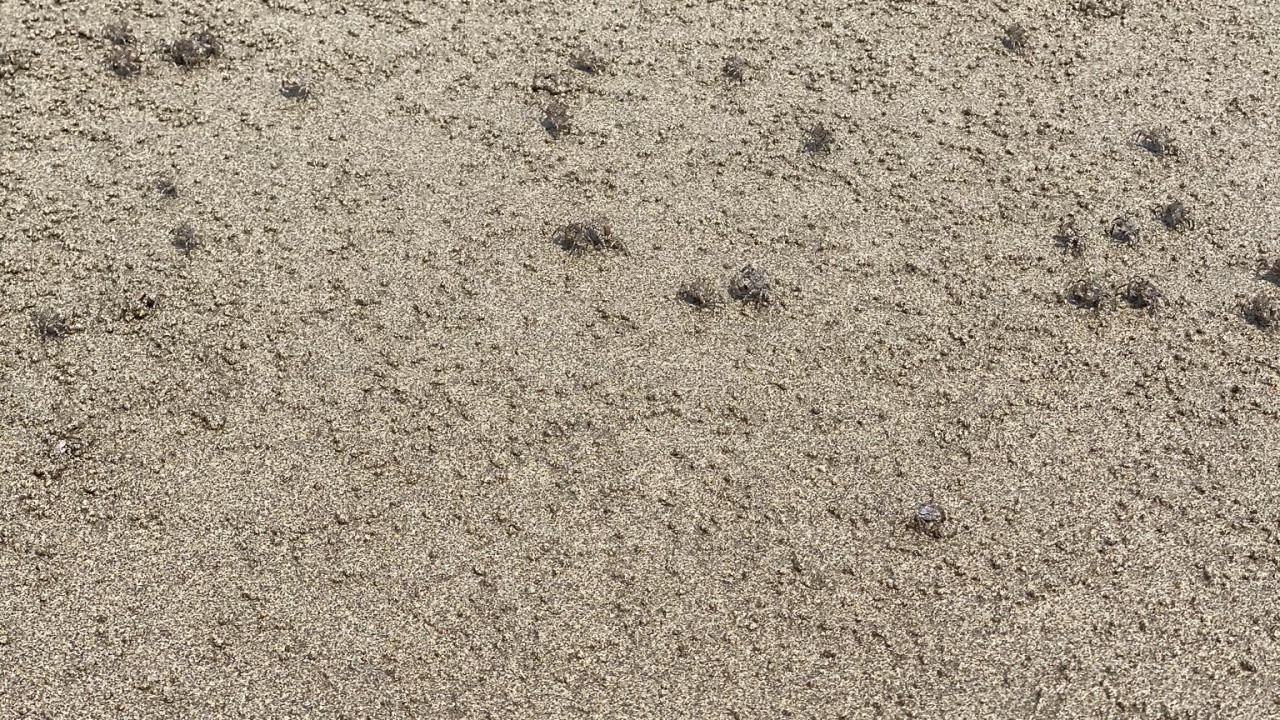 Обои почва, дорожное покрытие, песок, асфальт, серый цвет в разрешении 1280x720