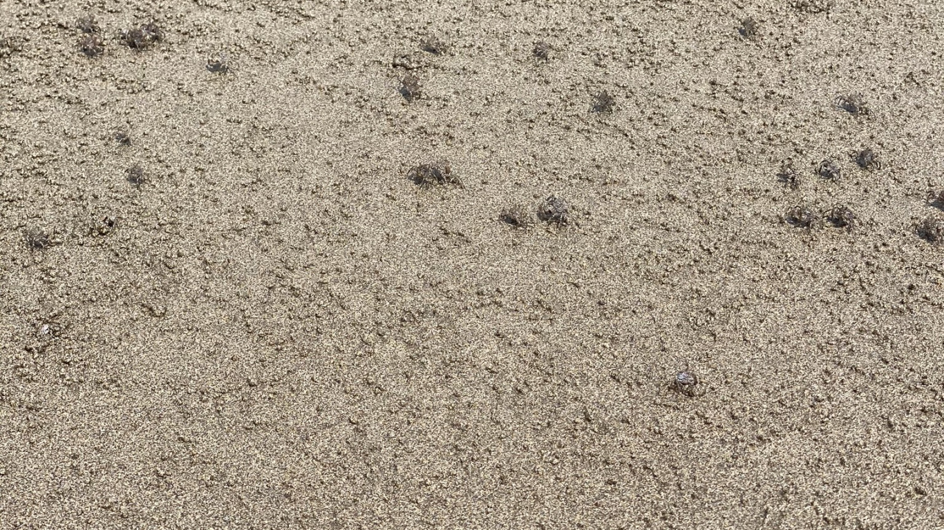 Обои почва, дорожное покрытие, песок, асфальт, серый цвет в разрешении 1366x768