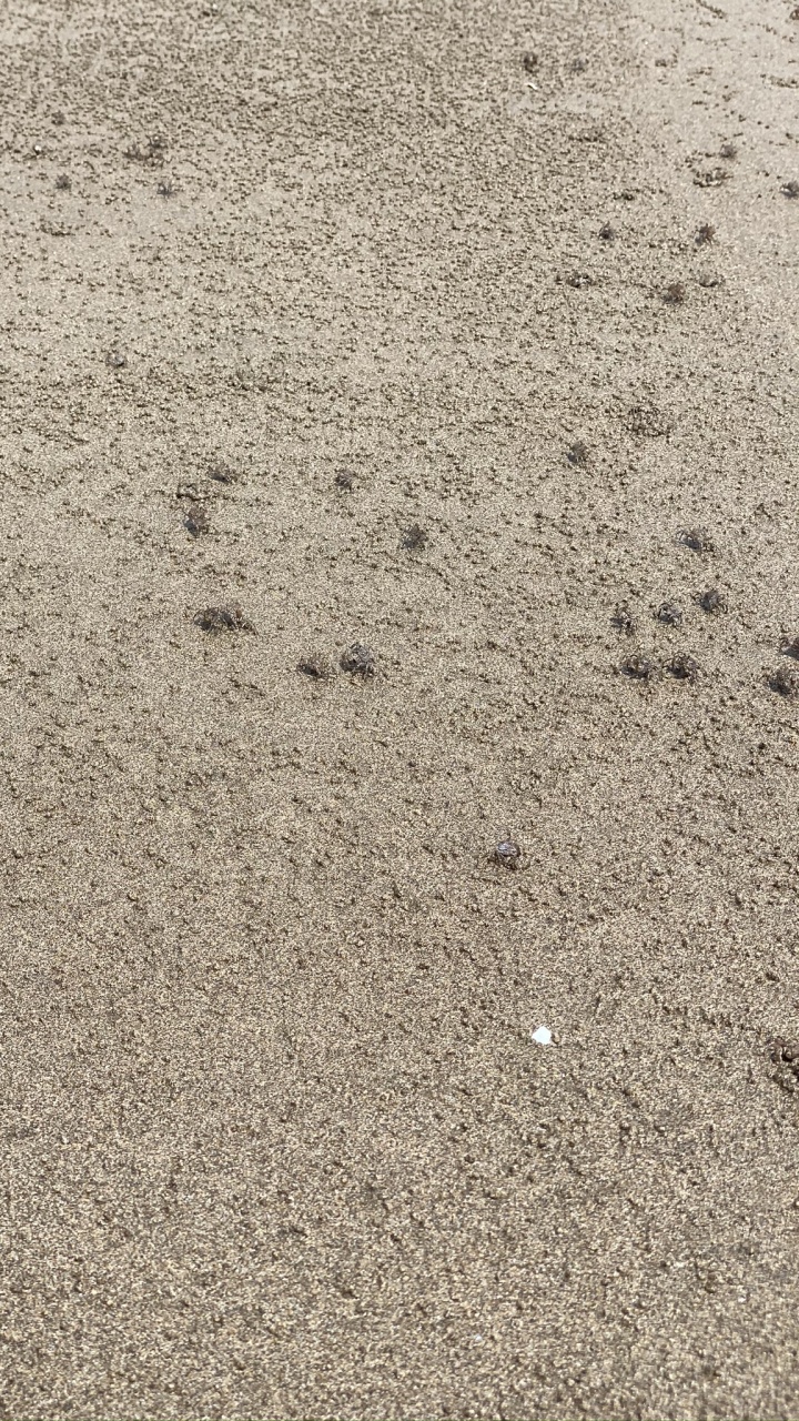 Обои почва, дорожное покрытие, песок, асфальт, серый цвет в разрешении 720x1280