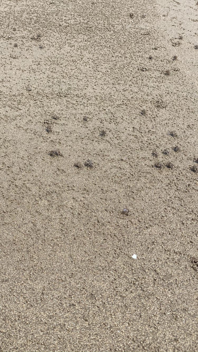 Обои почва, дорожное покрытие, песок, асфальт, серый цвет в разрешении 750x1334